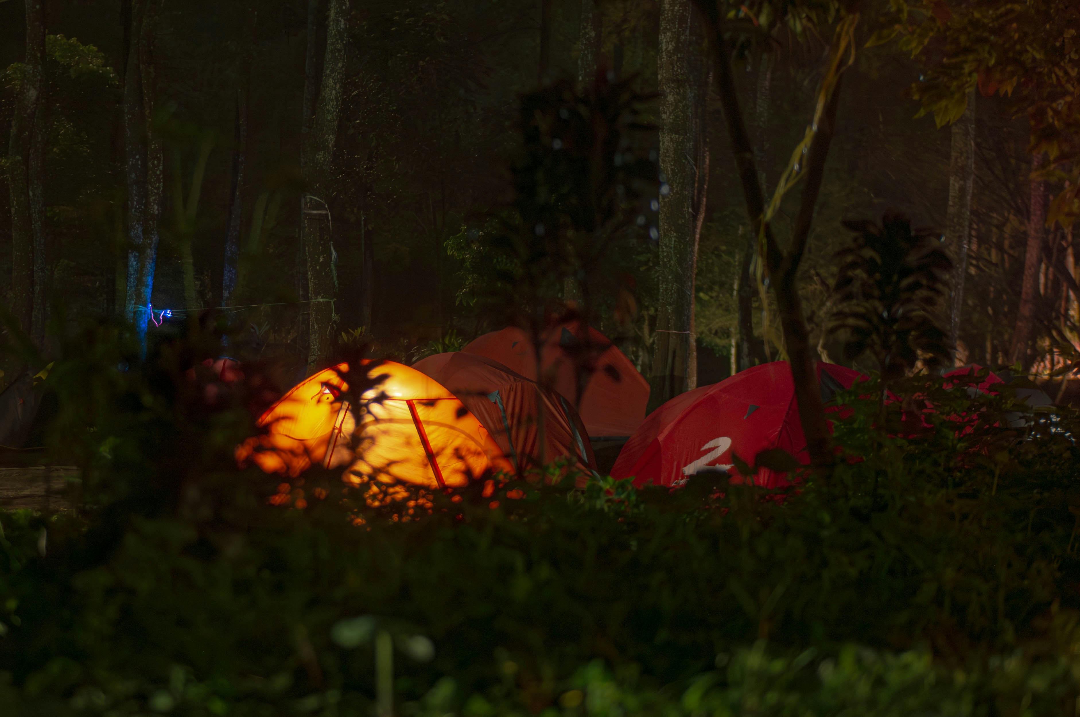 a couple of tents sitting in the middle of a forest