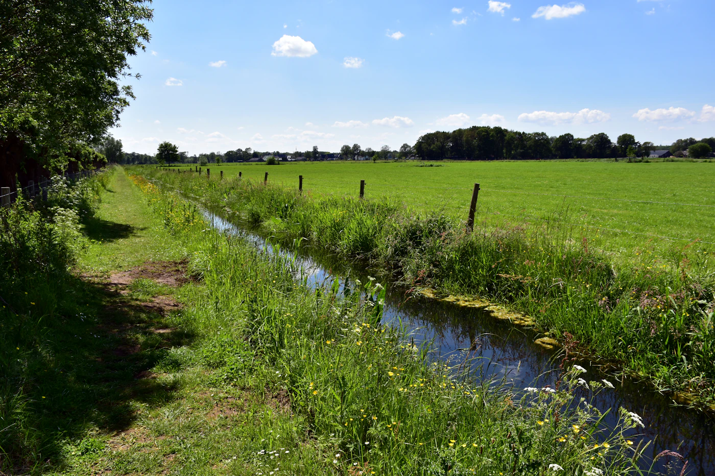 Fossé aménagé pour guider l'eau à travers un terrain