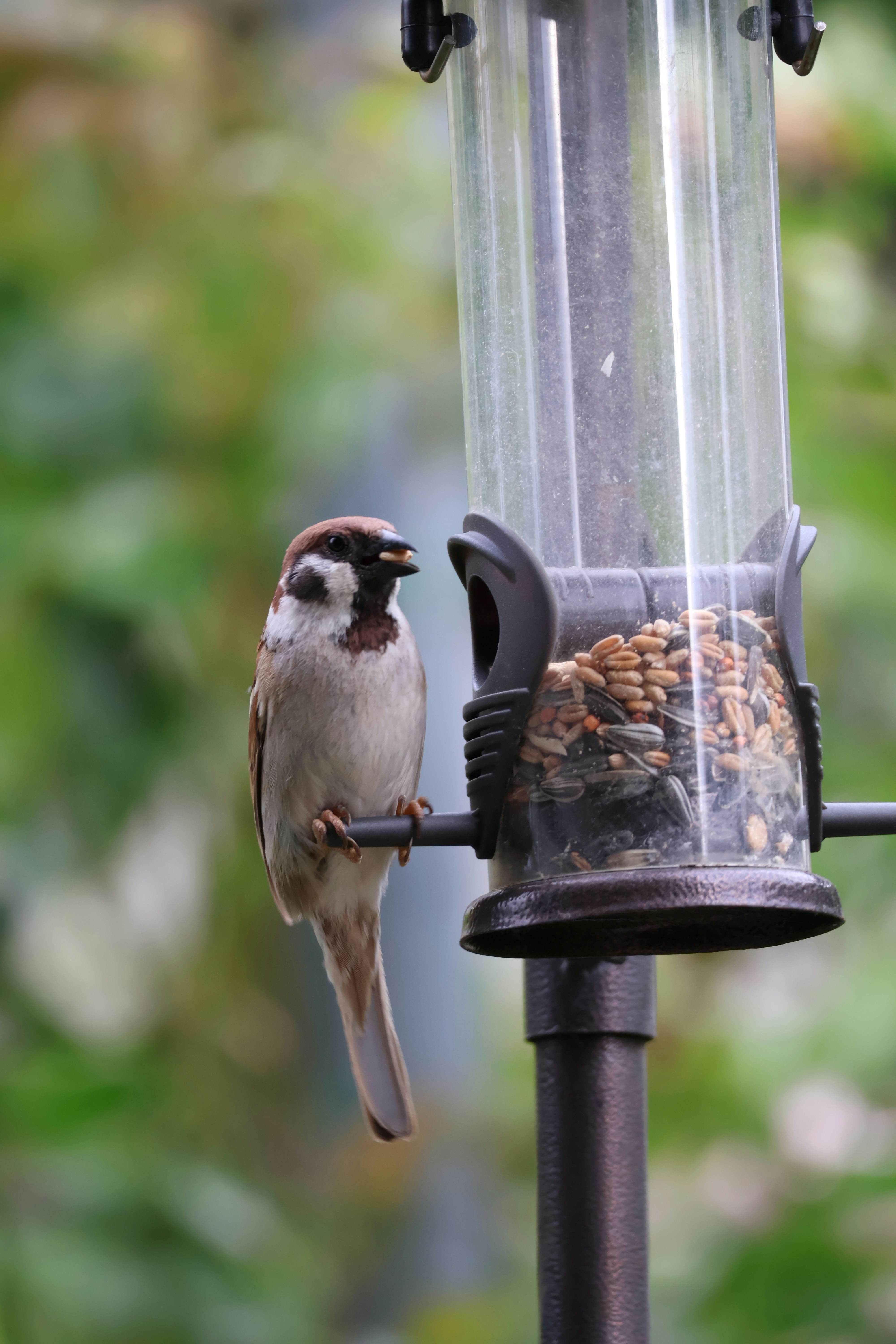 Photo by shooter__andy