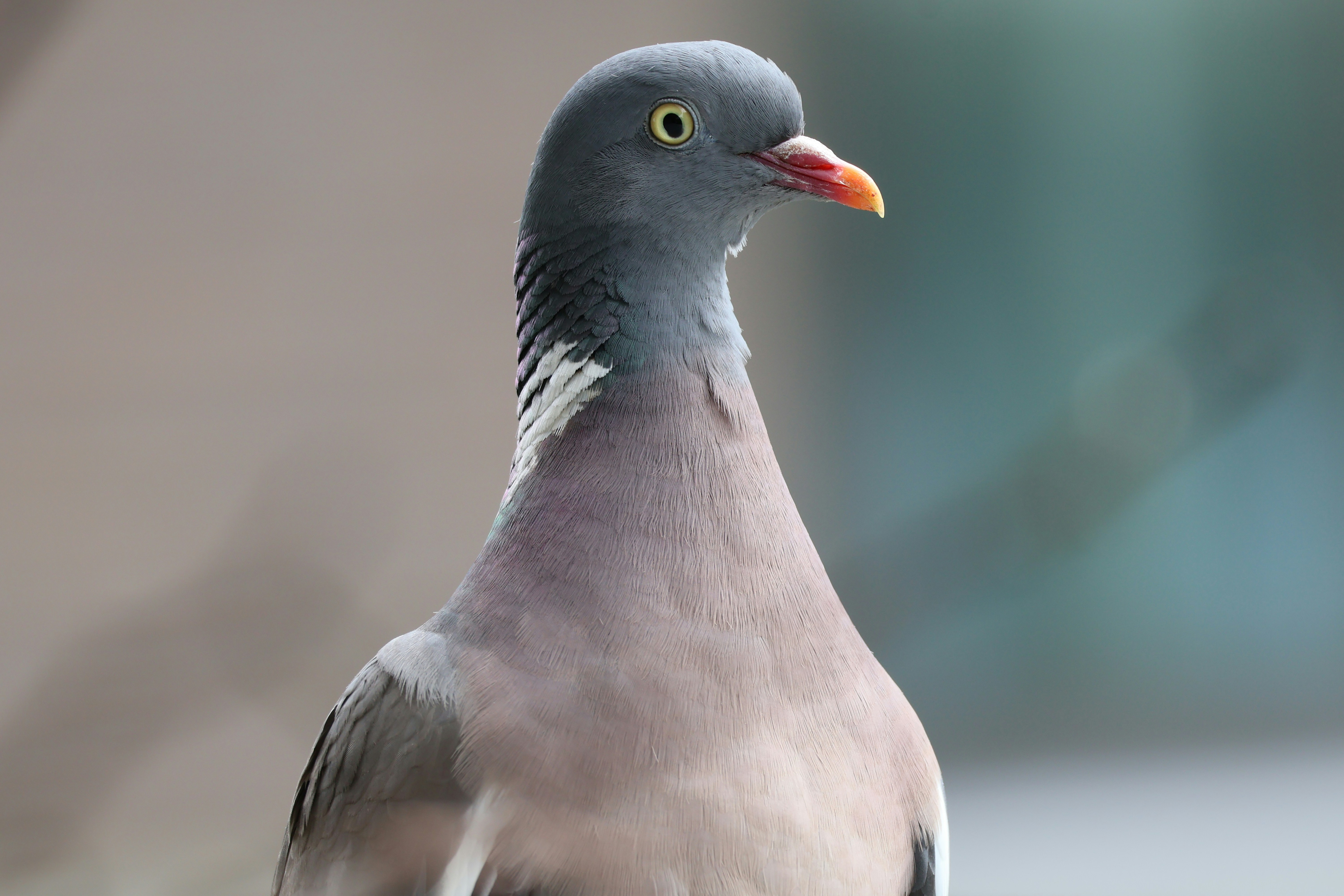 Photo by shooter__andy