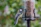 a bird is perched on a bird feeder