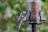 a bird is perched on a bird feeder