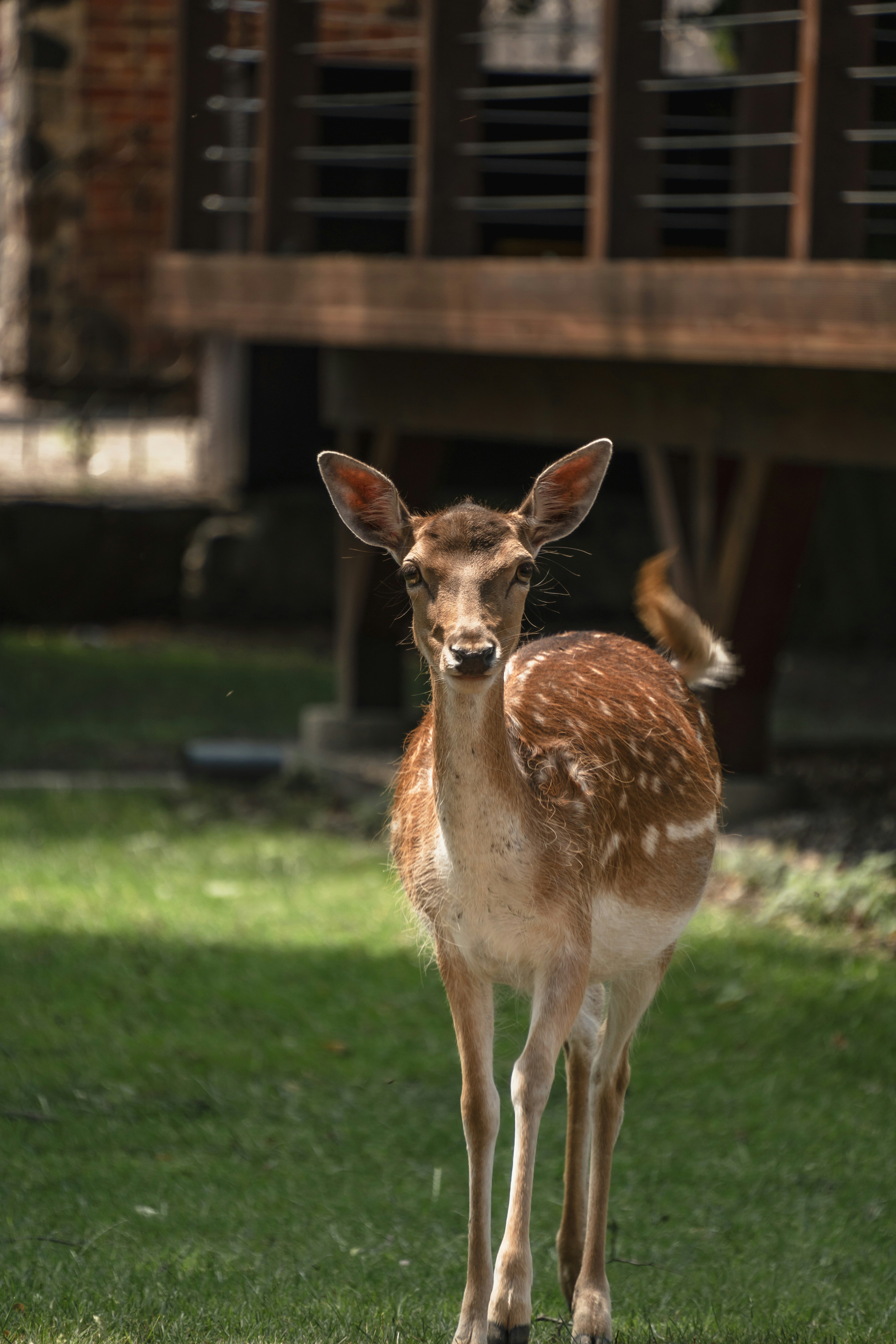 Łódź eşcinsel katili Polonya'nın en büyük...