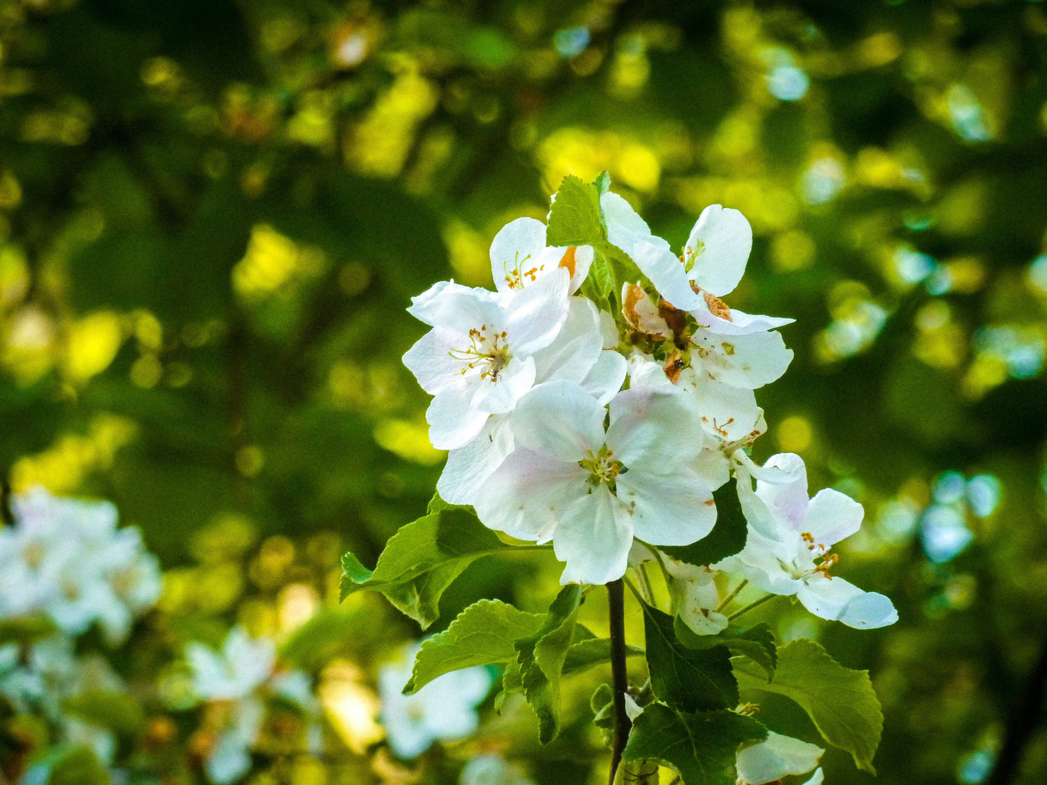 Photo by kanashii_yasuhiro