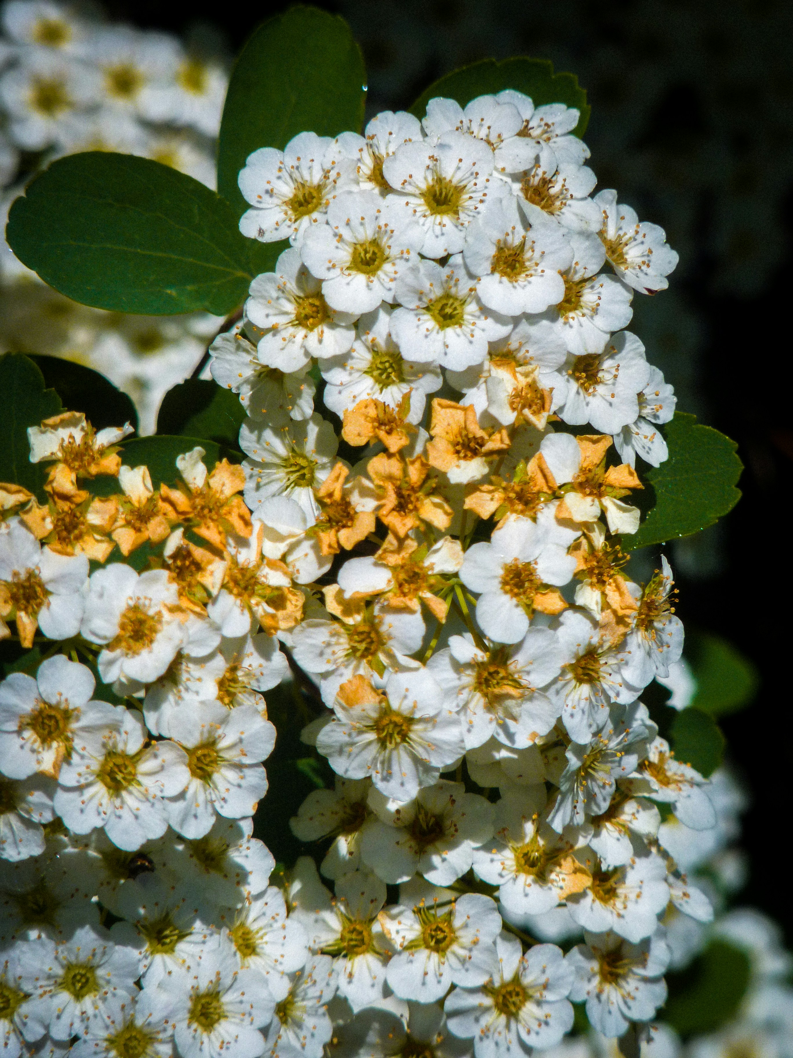 Photo by kanashii_yasuhiro