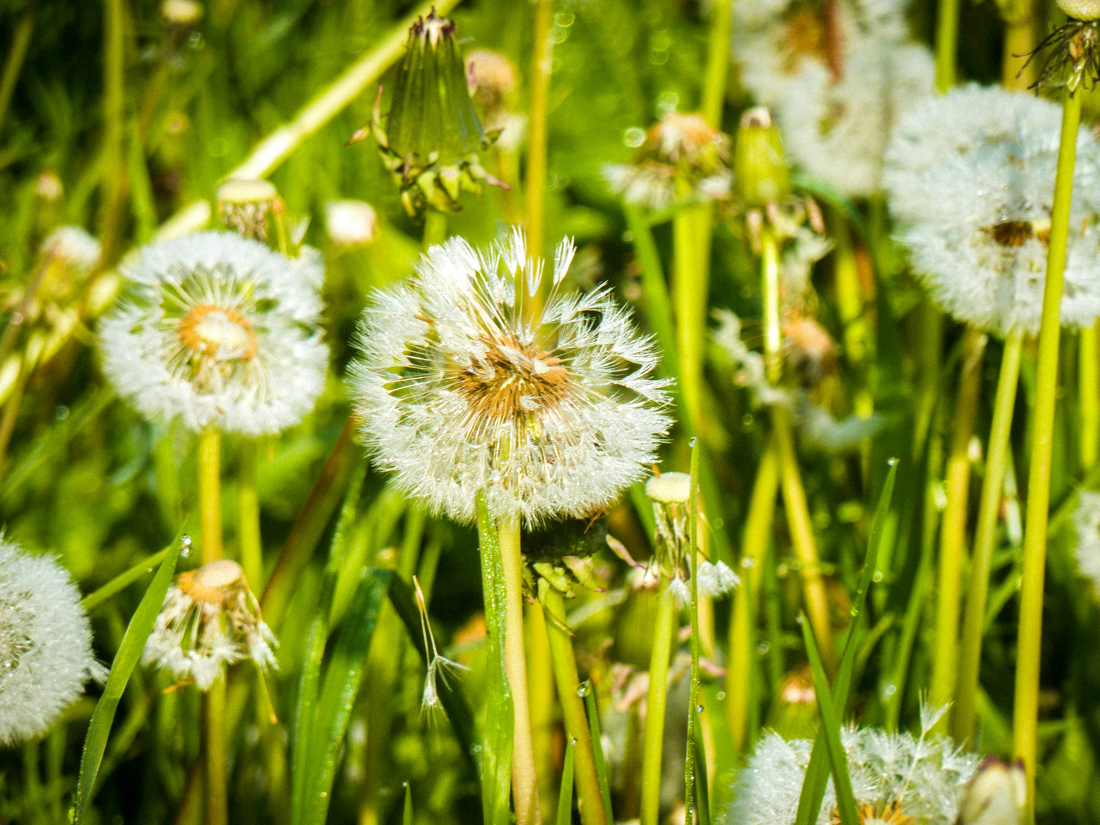 Photo by kanashii_yasuhiro