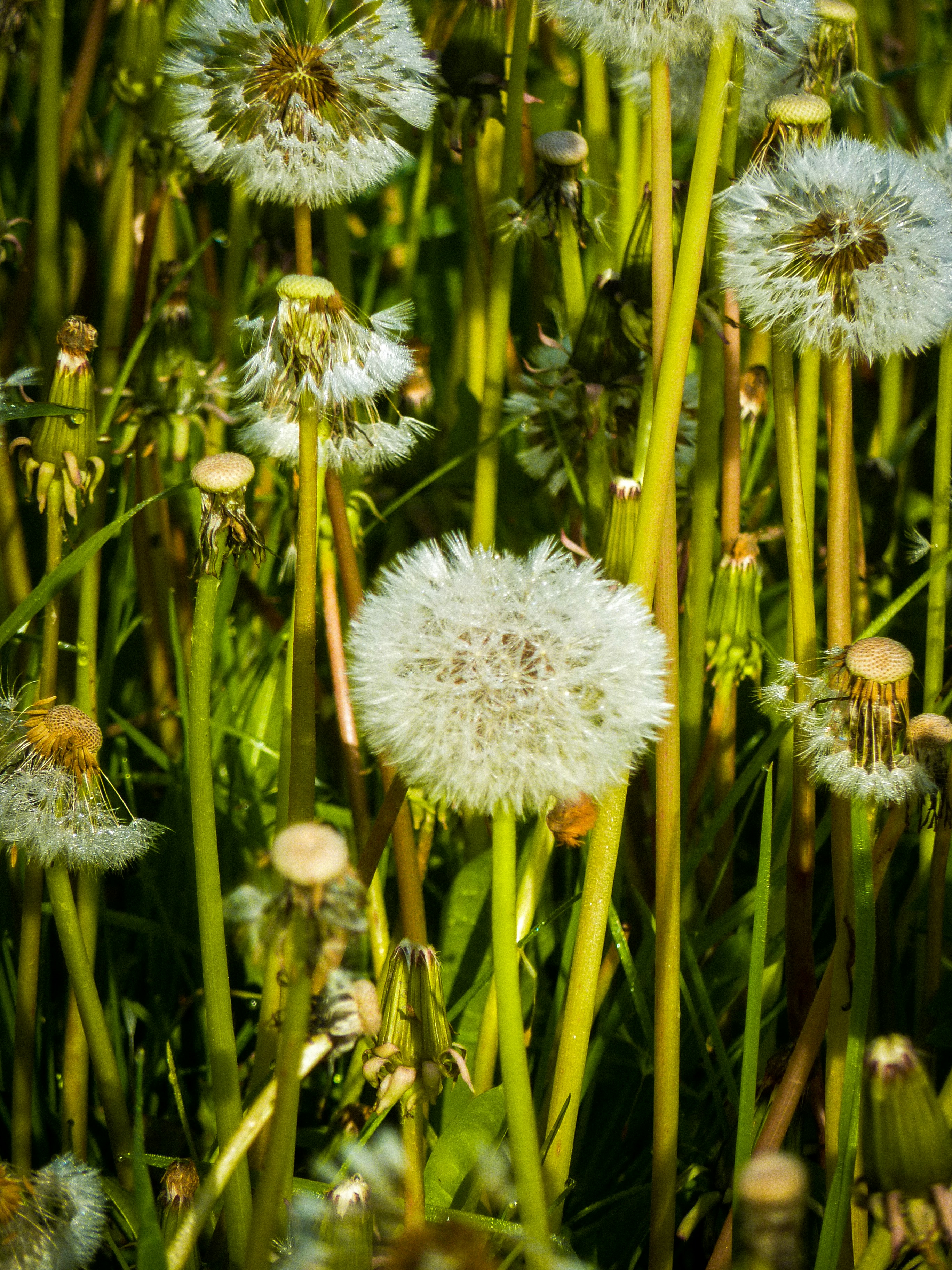 Photo by kanashii_yasuhiro