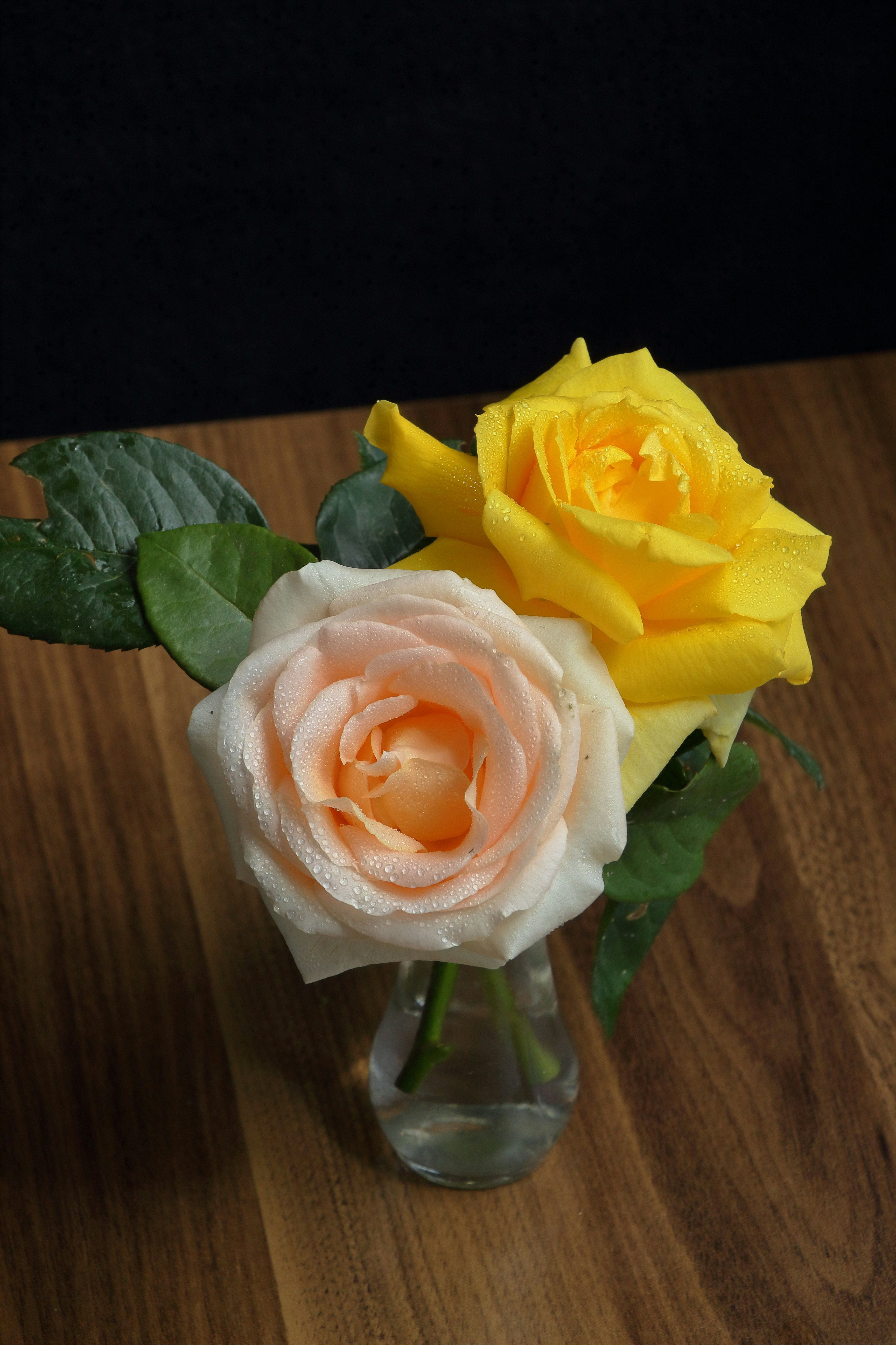 two yellow and white roses in a glass vase