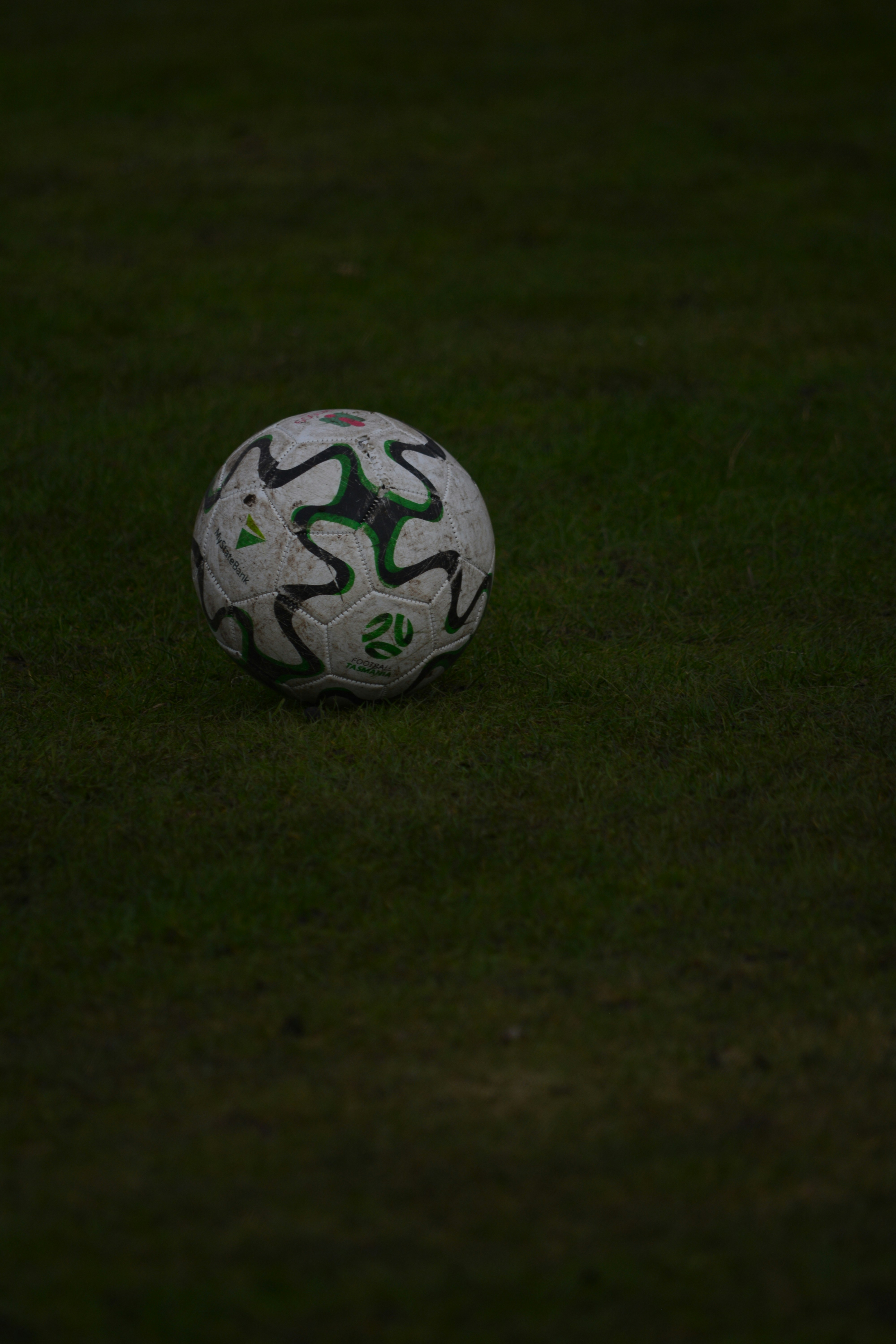 a soccer ball sitting on top of a lush green field