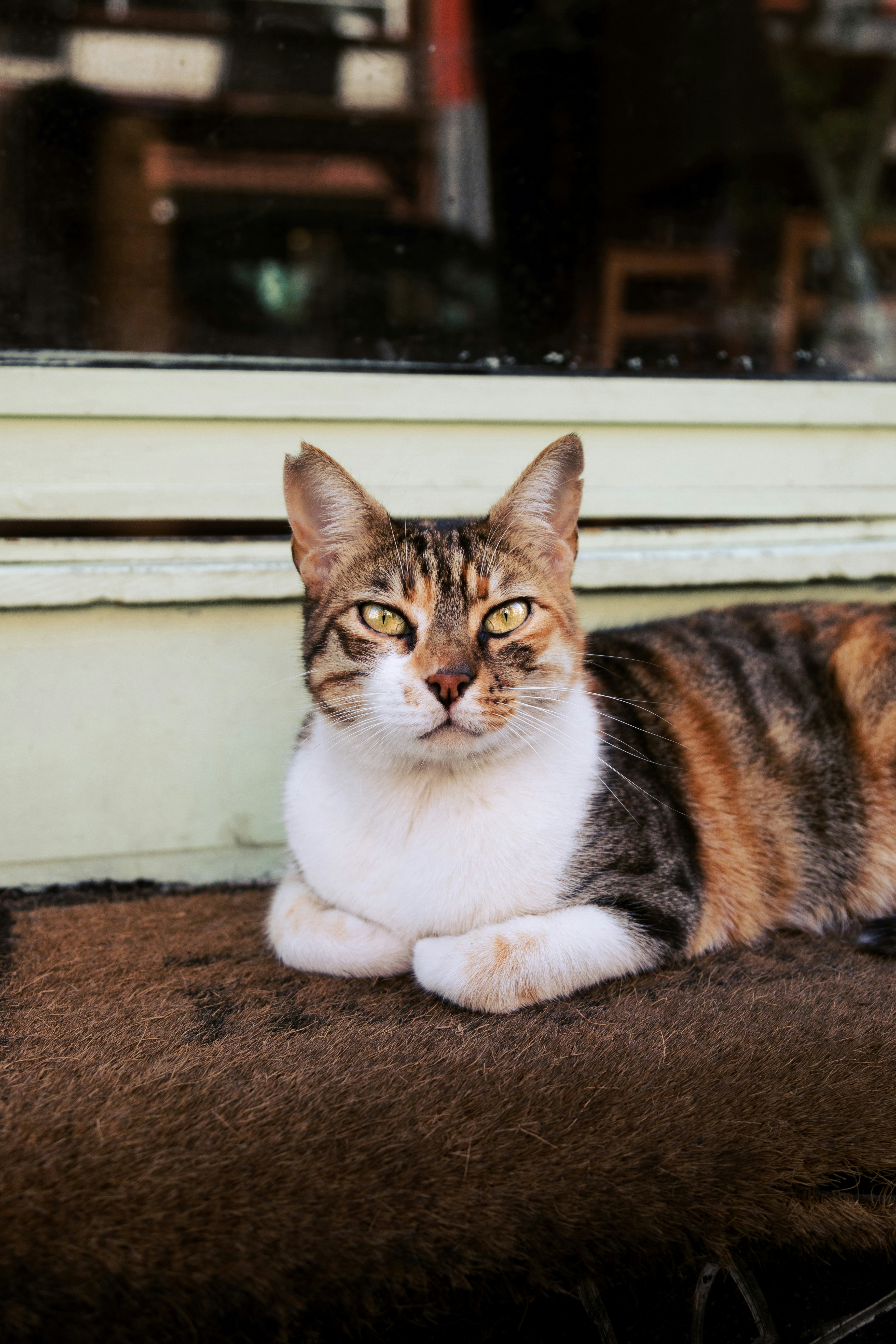 Photo by nikita_pishchugin