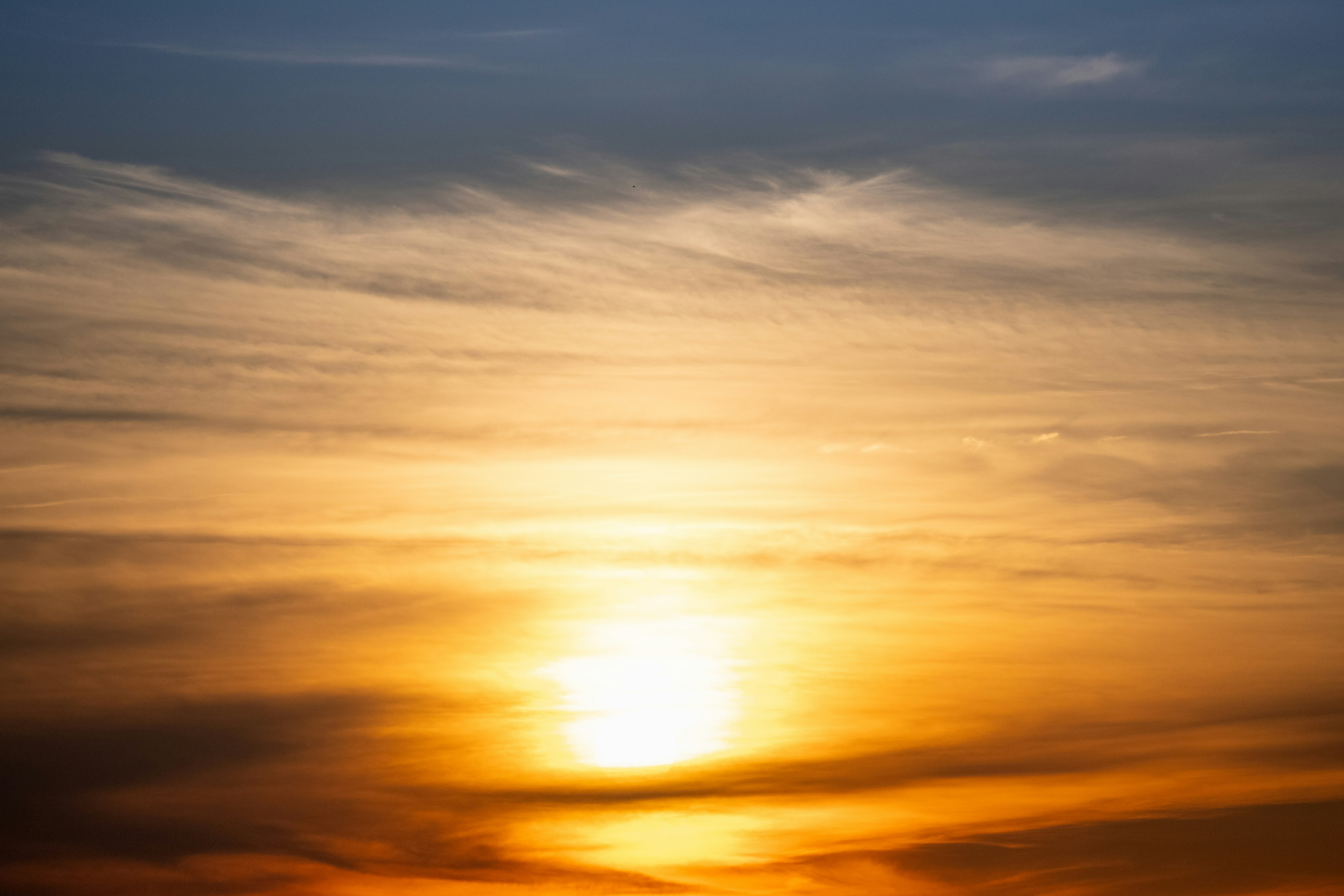 Photo by astapenkoanton