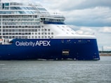 a large blue and white cruise ship in the water