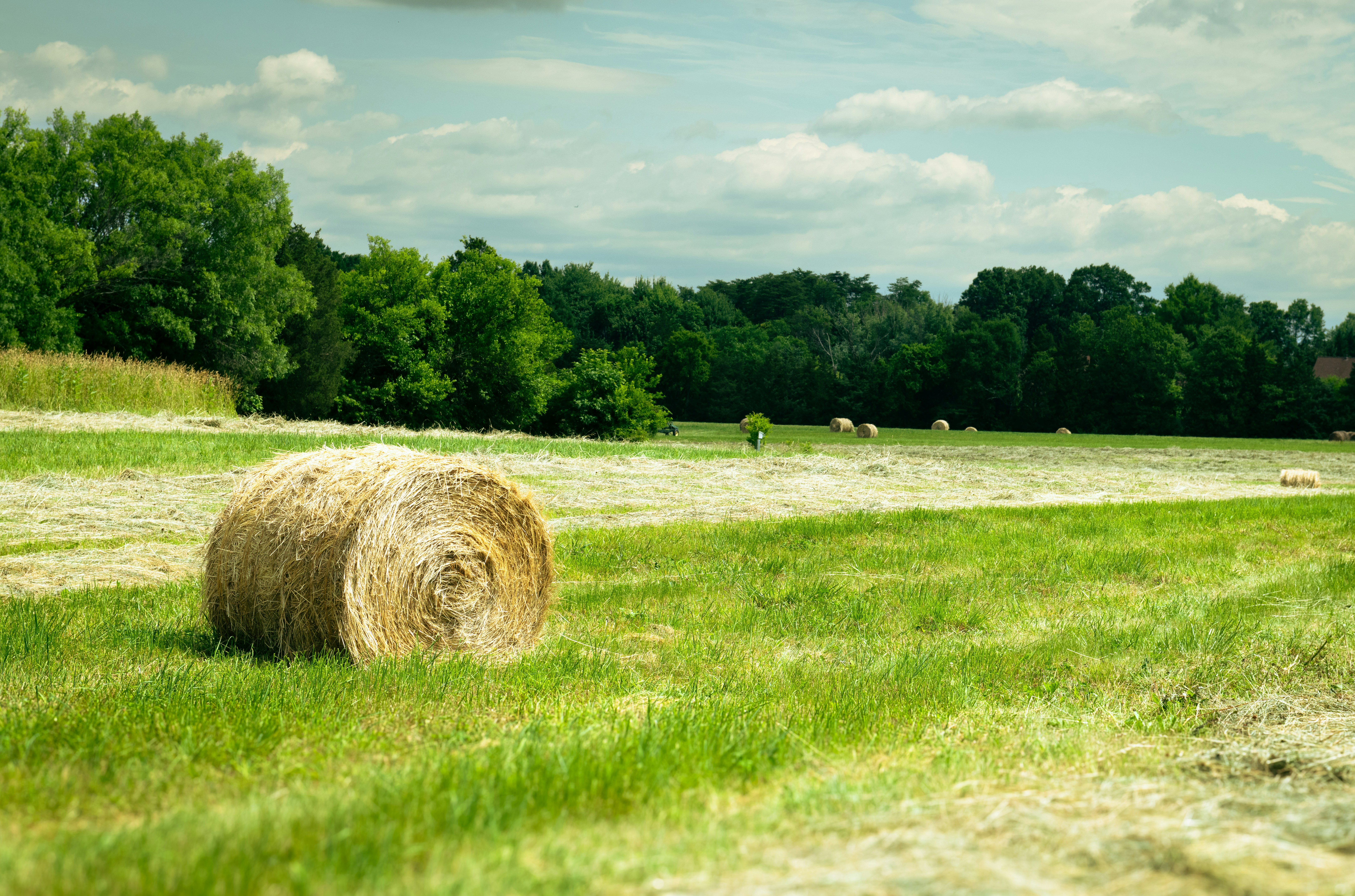 Photo by sriniunsplash