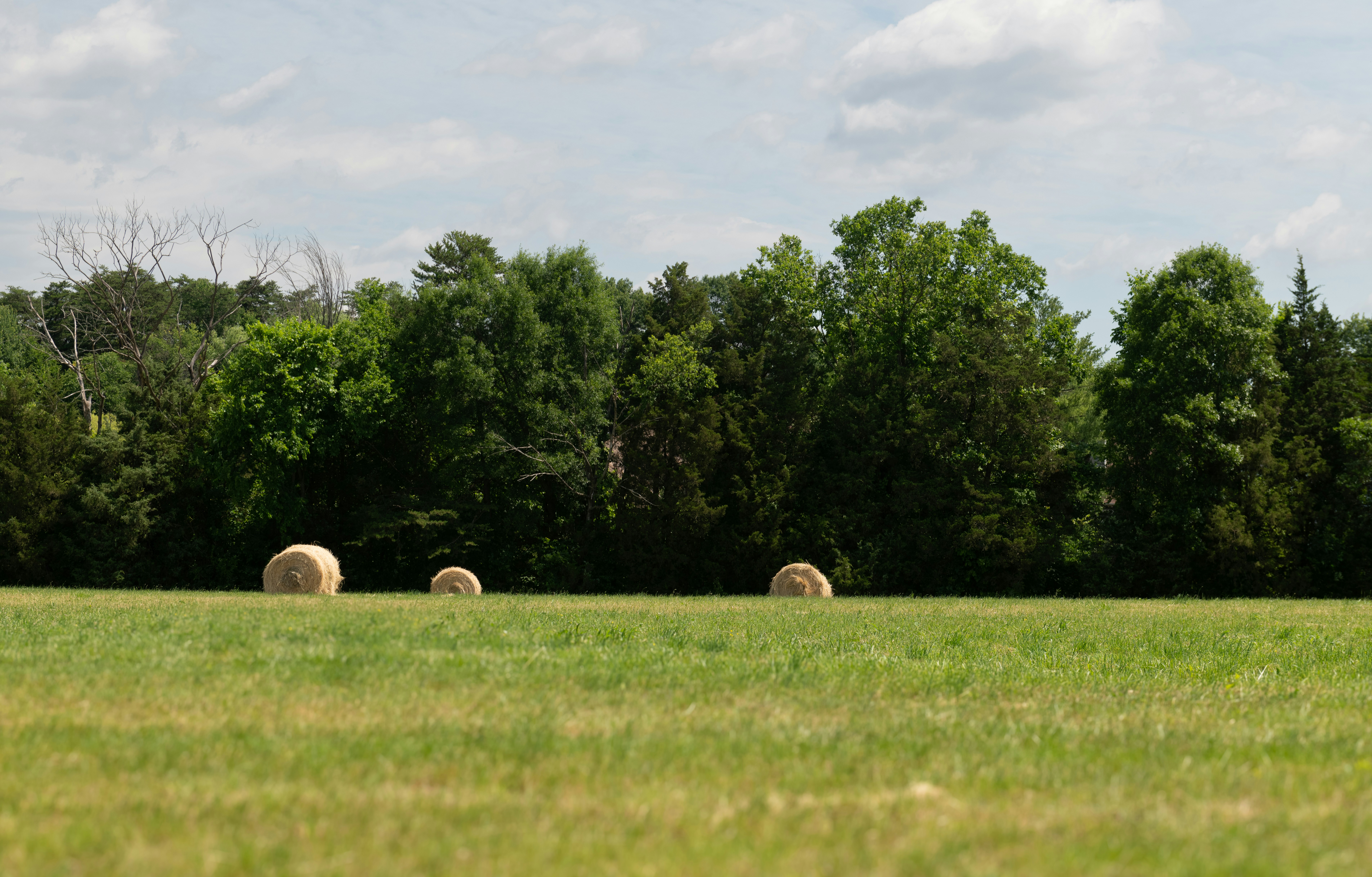 Photo by sriniunsplash