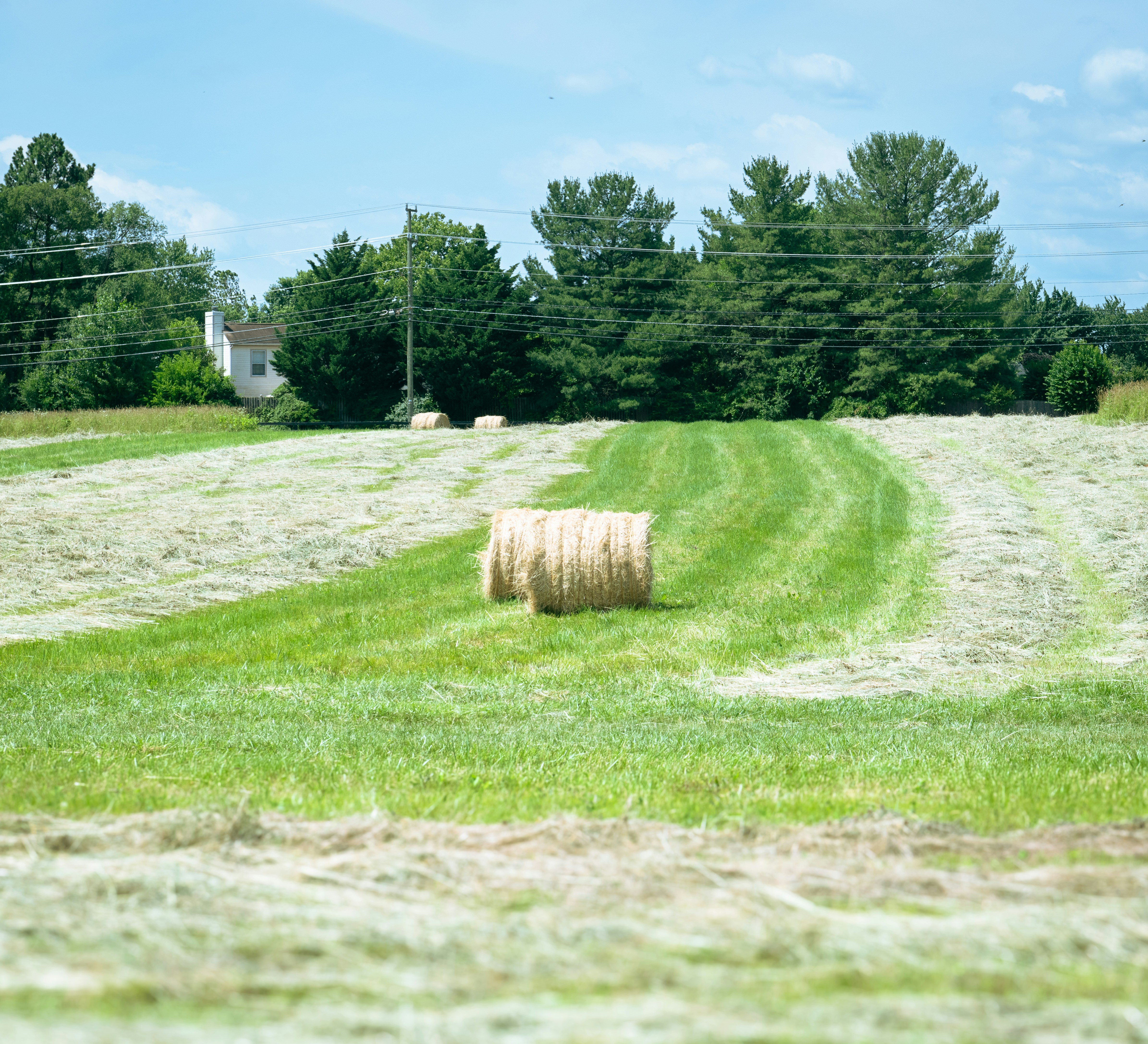 Photo by sriniunsplash