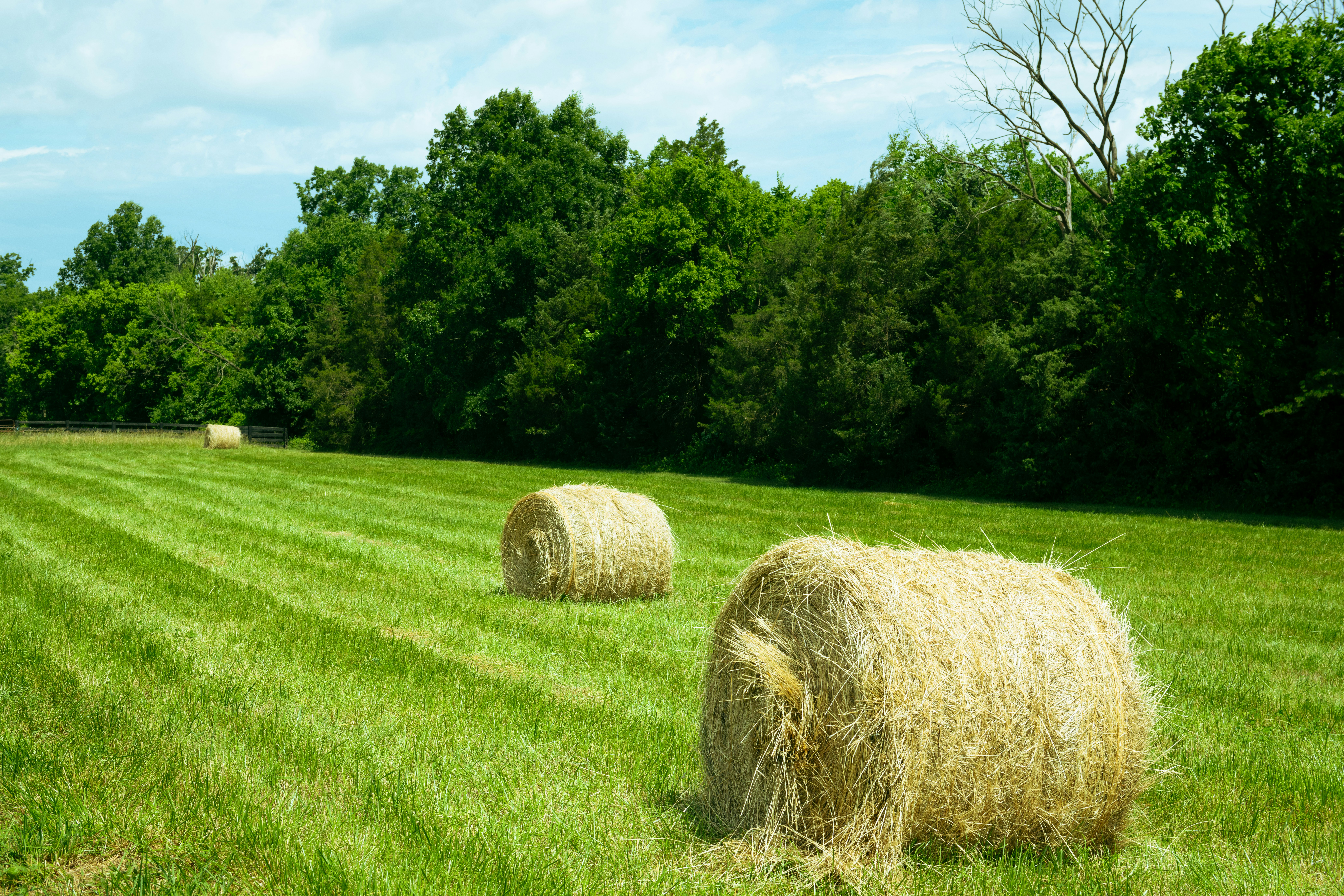 Photo by sriniunsplash