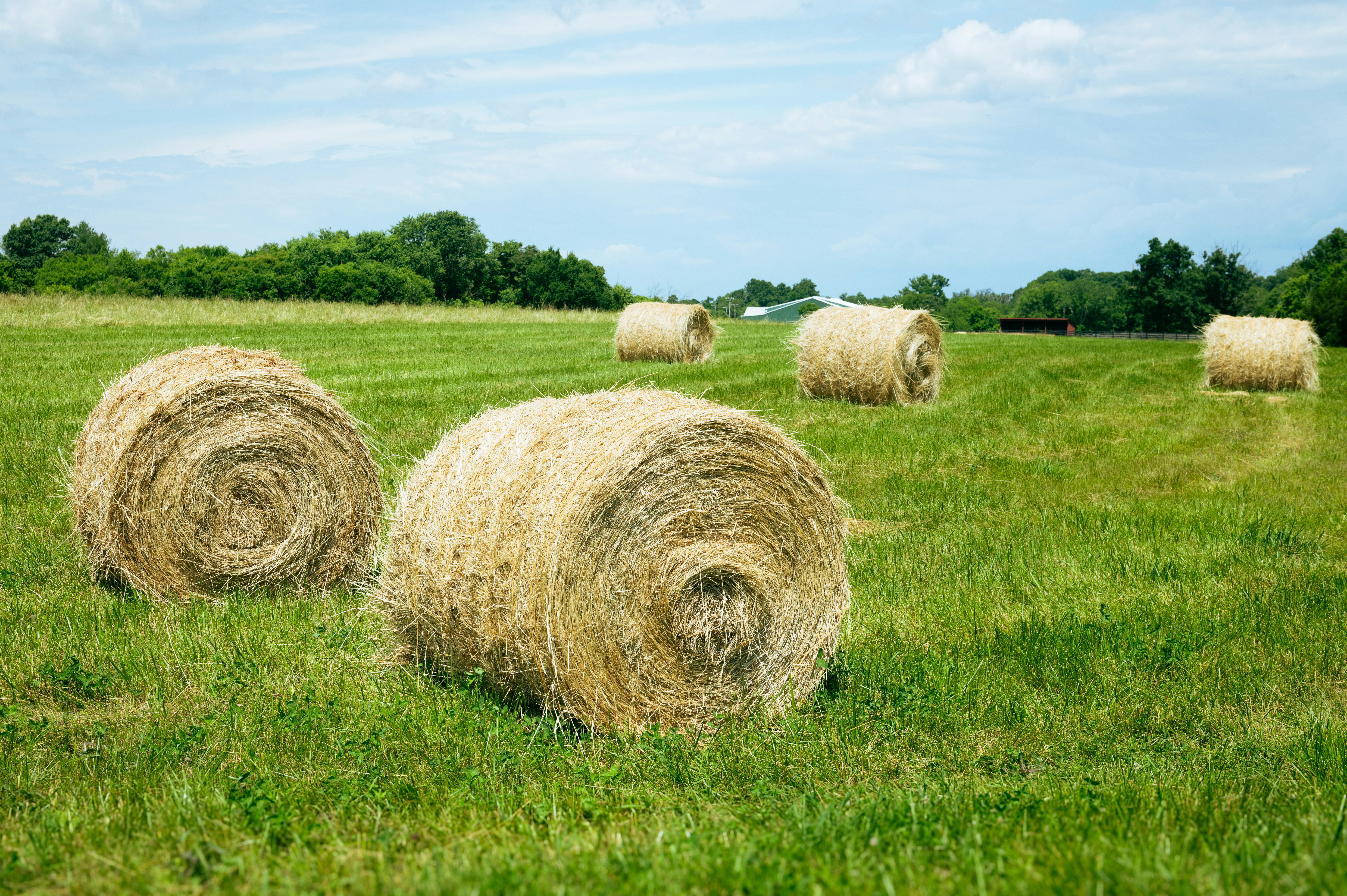 Photo by sriniunsplash