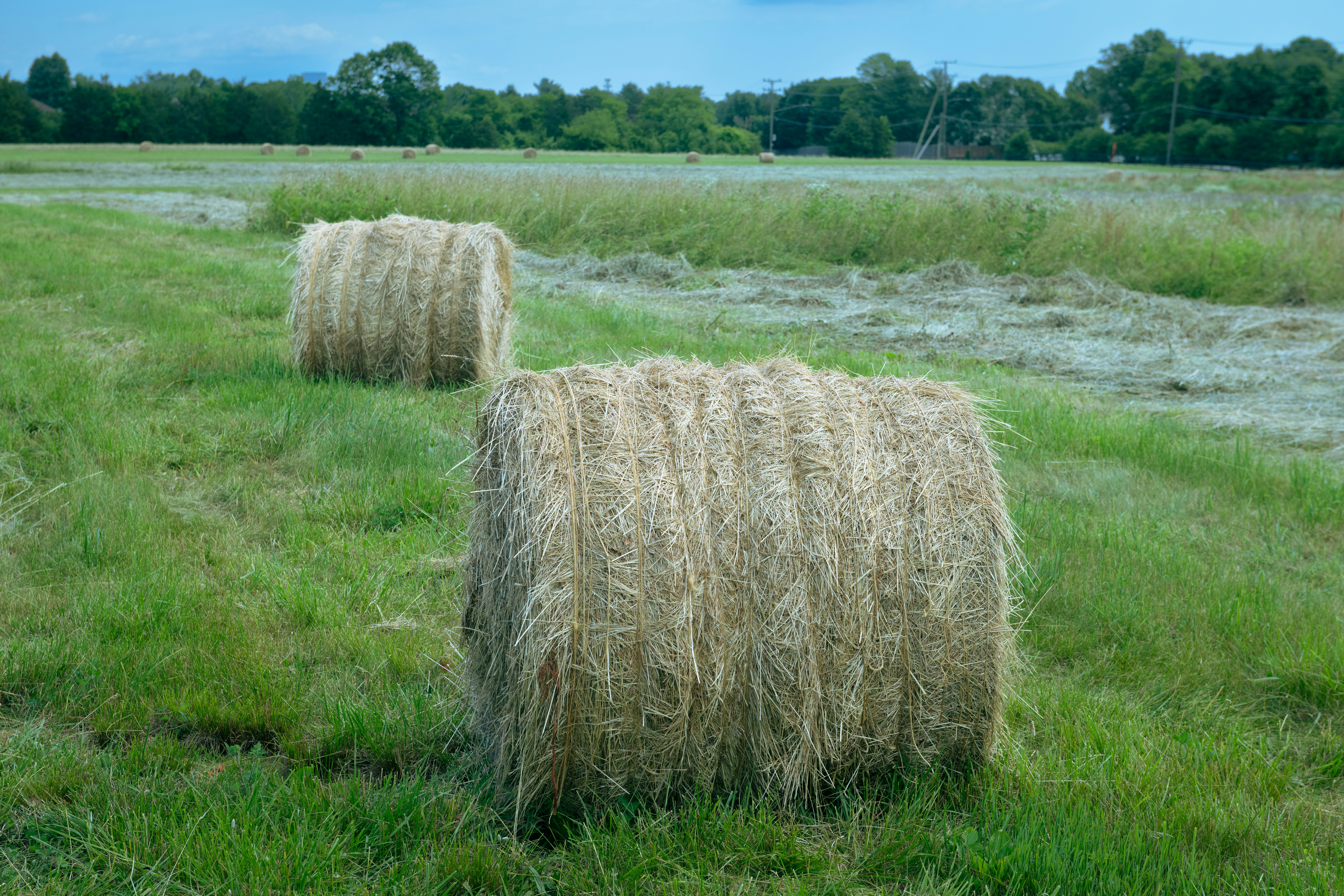 Photo by sriniunsplash