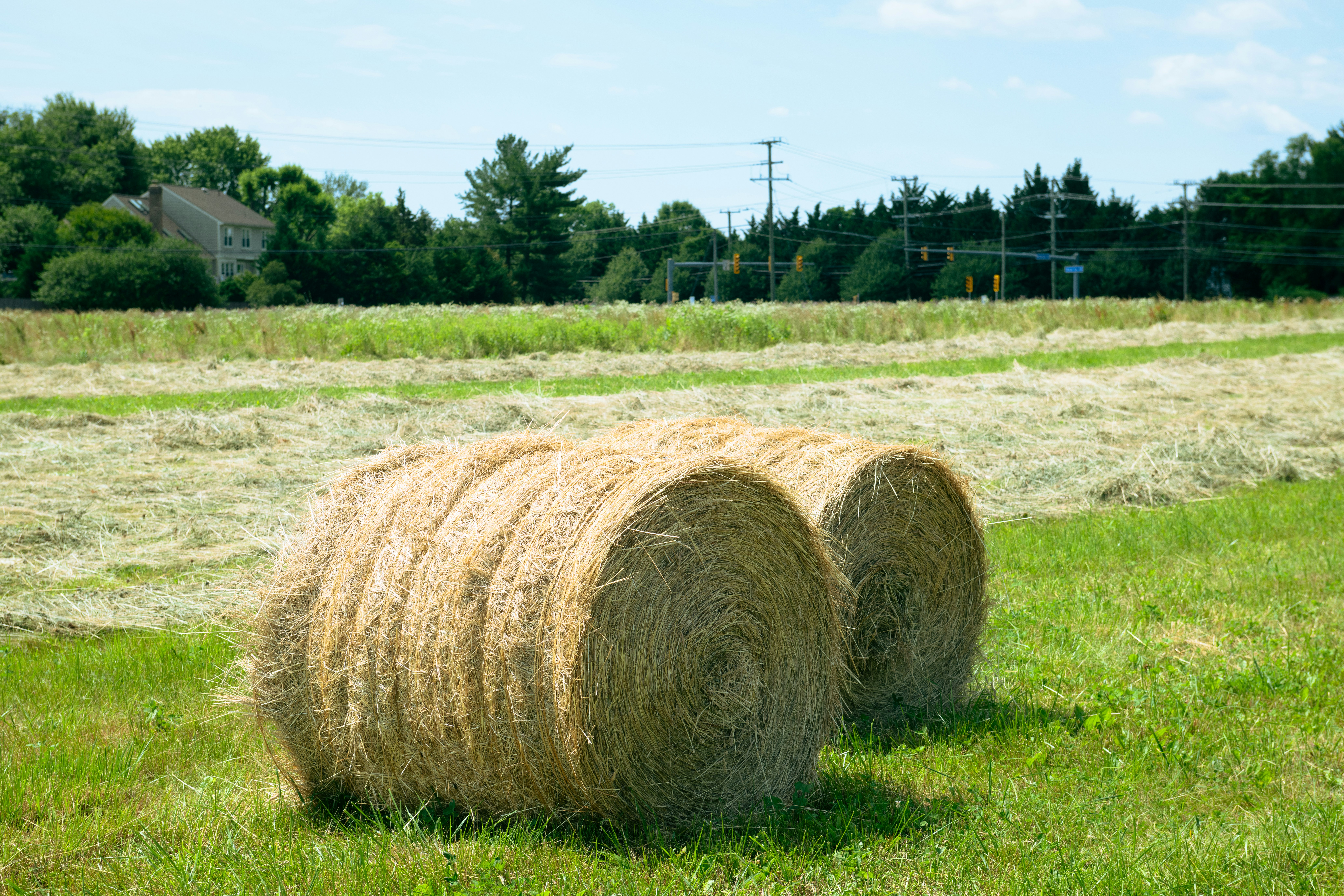 Photo by sriniunsplash