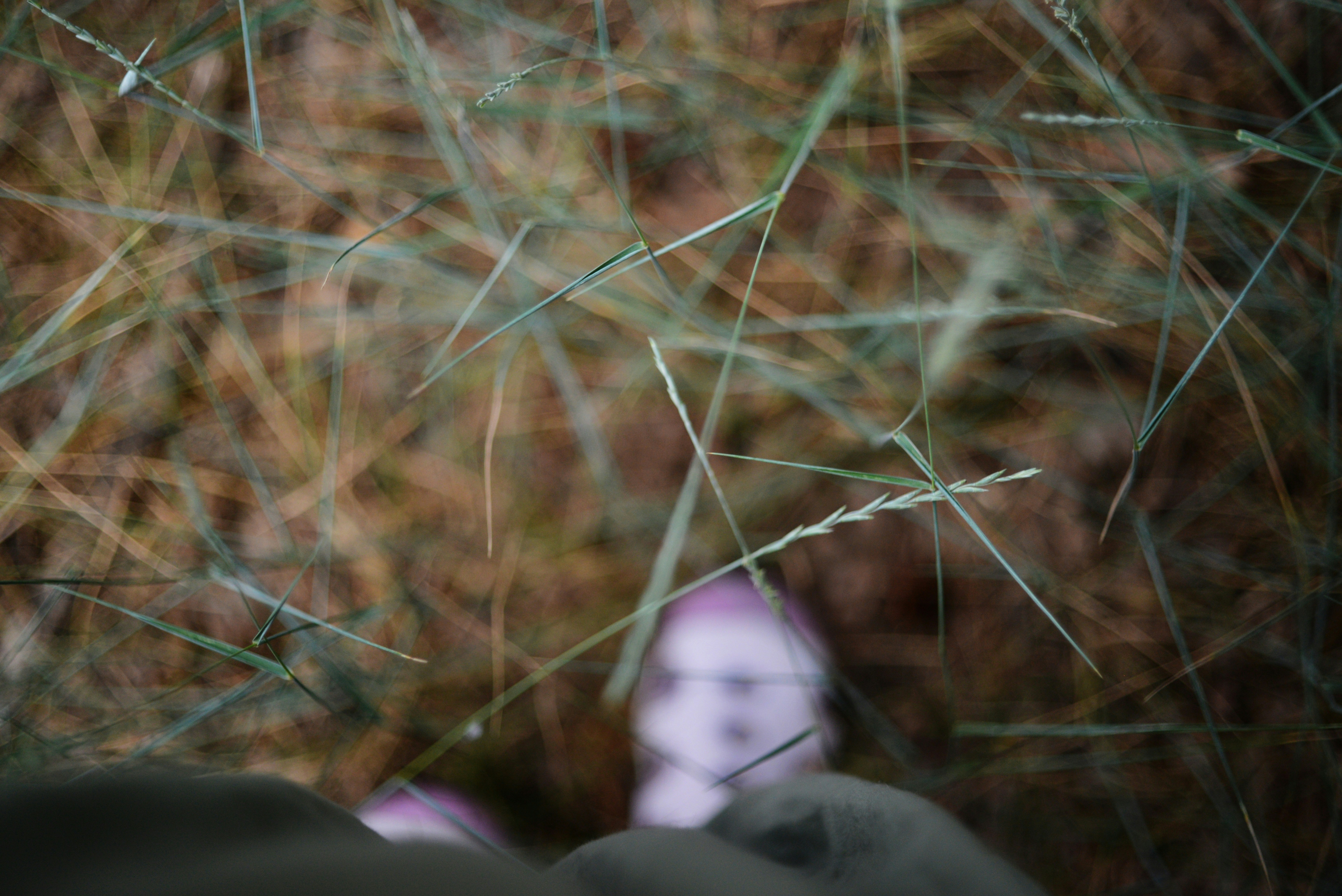 Photo by cherstve_pechivo