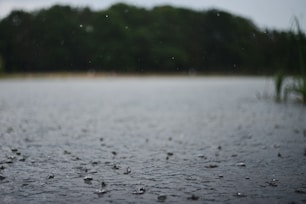 a bunch of rain drops on the ground