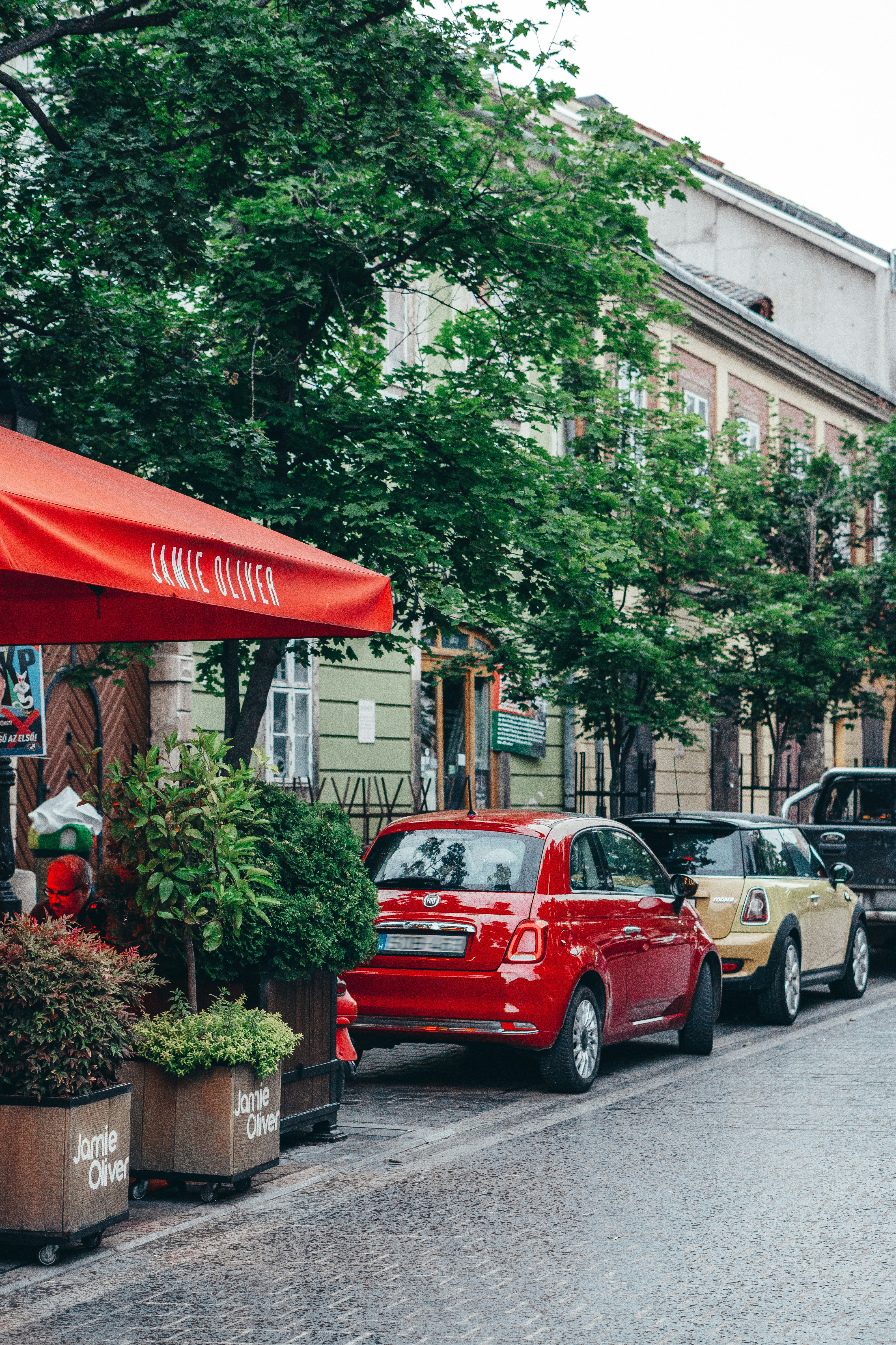 Photo by kateryna_senkevych