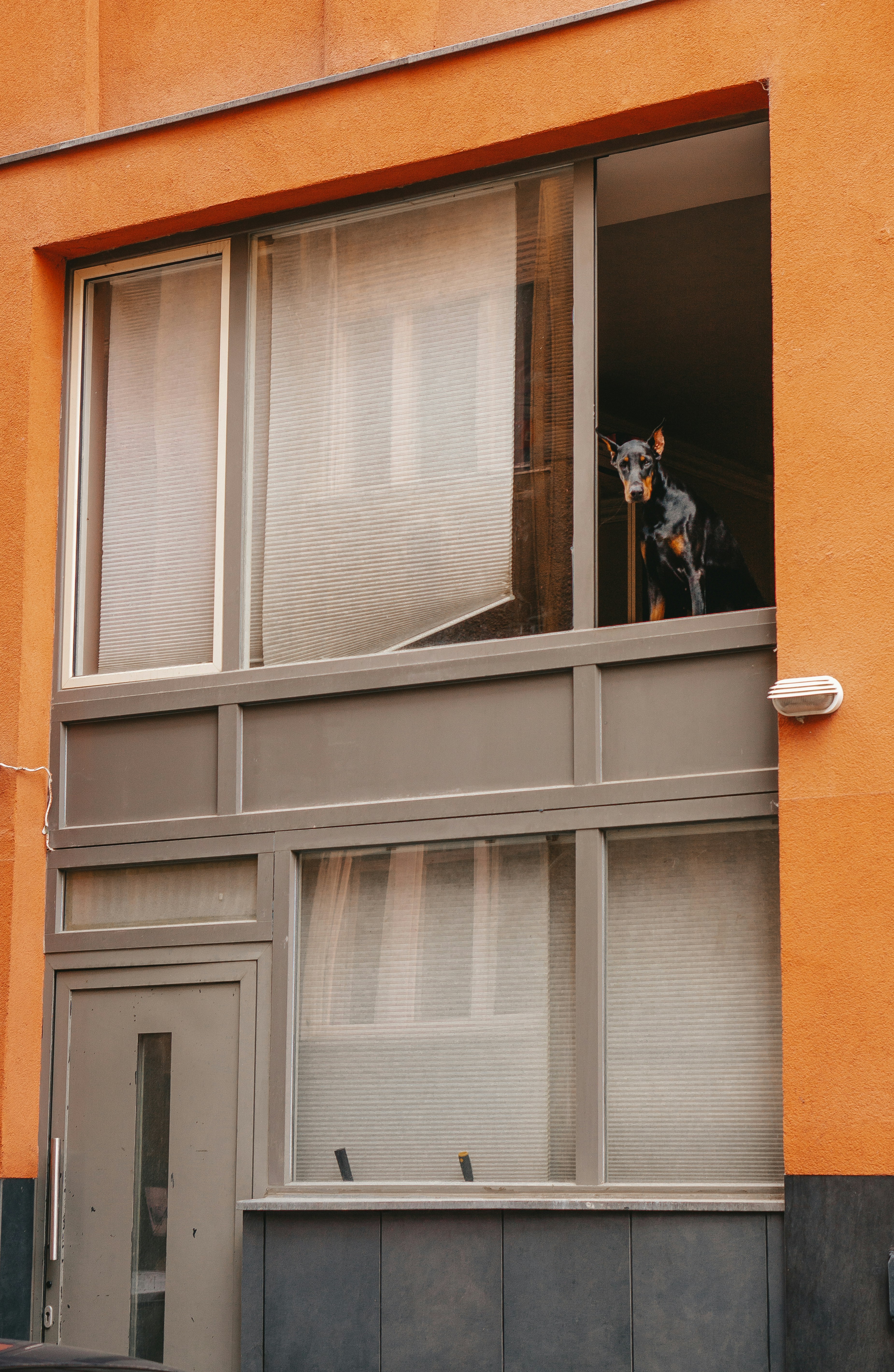 Photo by kateryna_senkevych