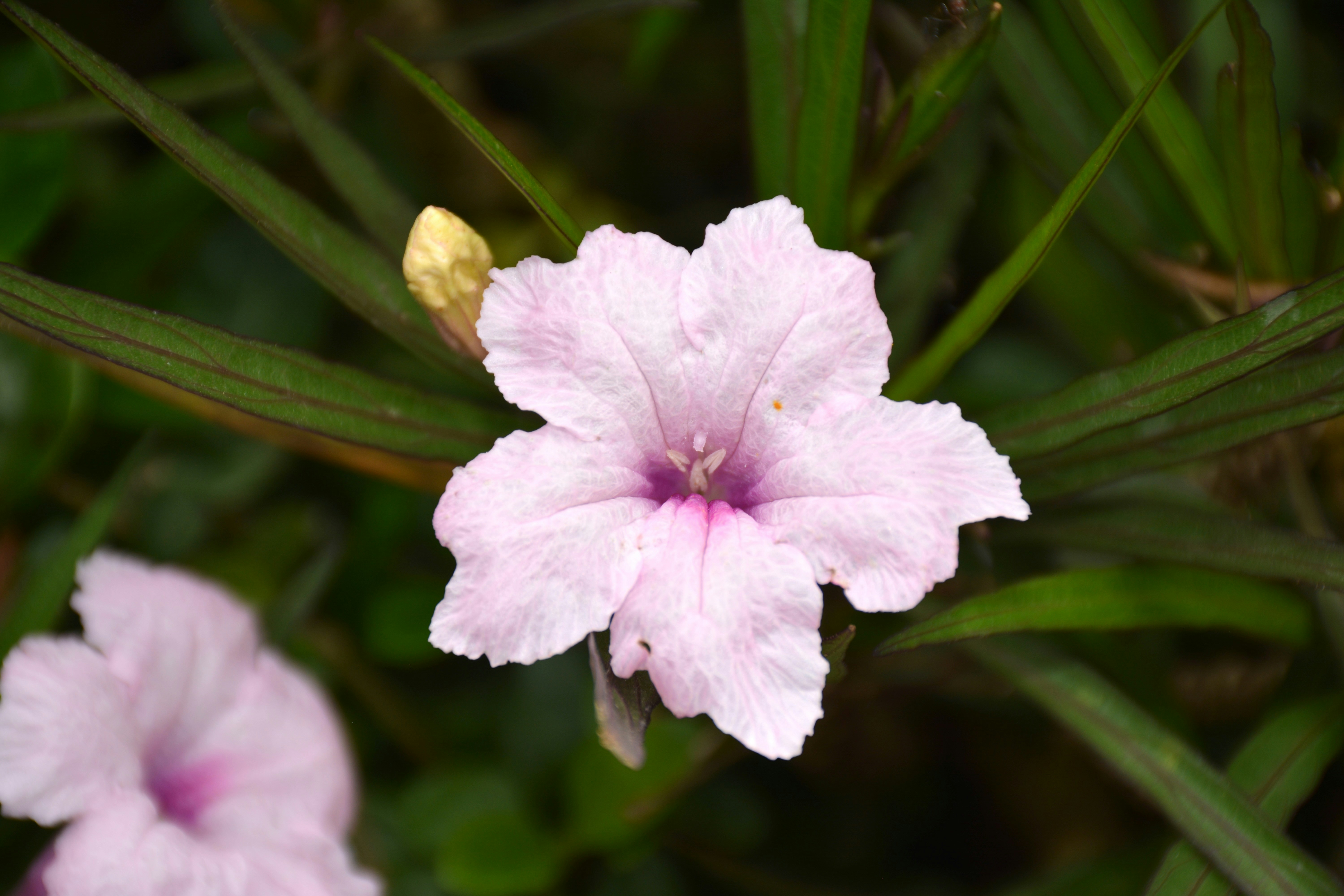 Photo by rahul_saraf