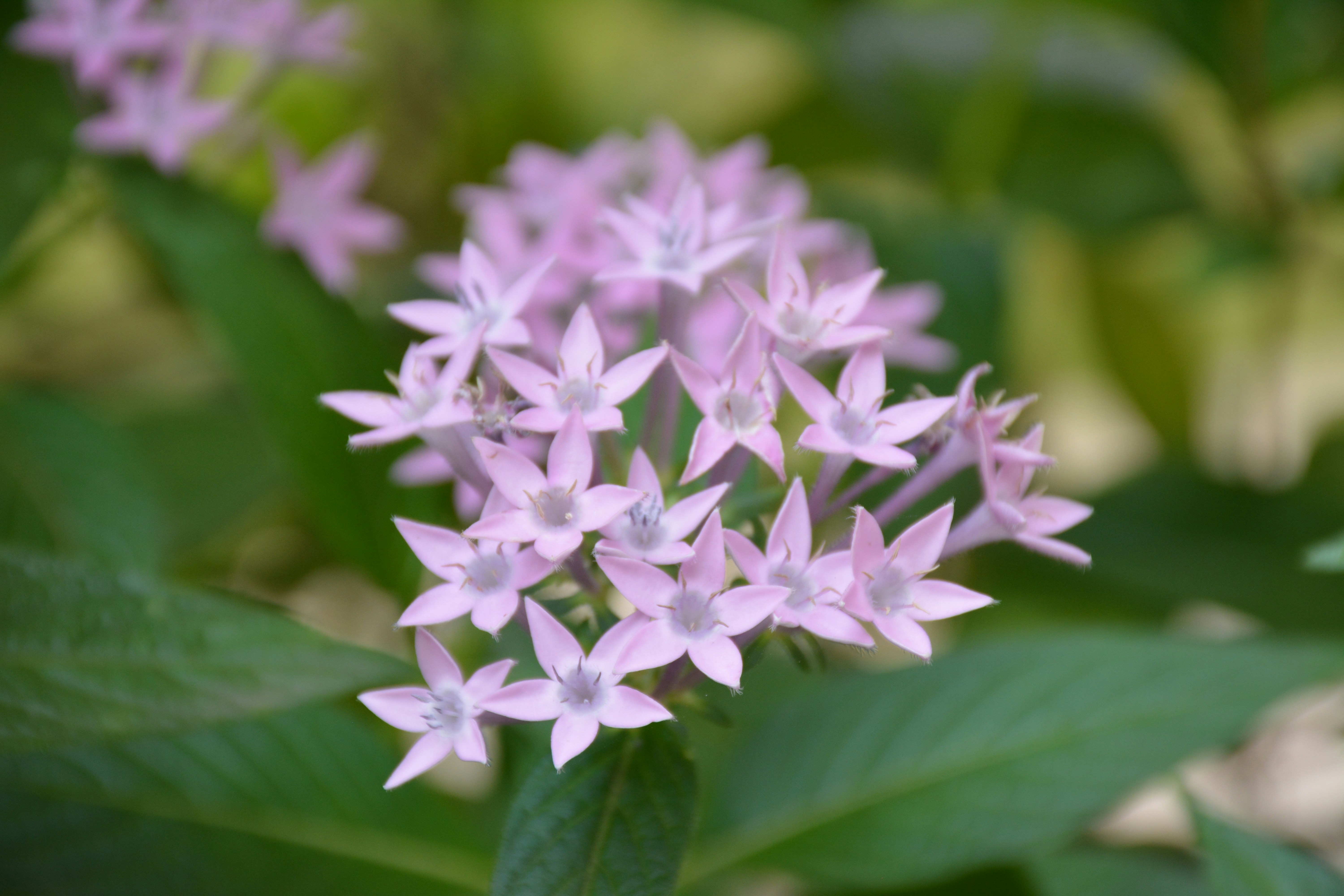 Photo by rahul_saraf