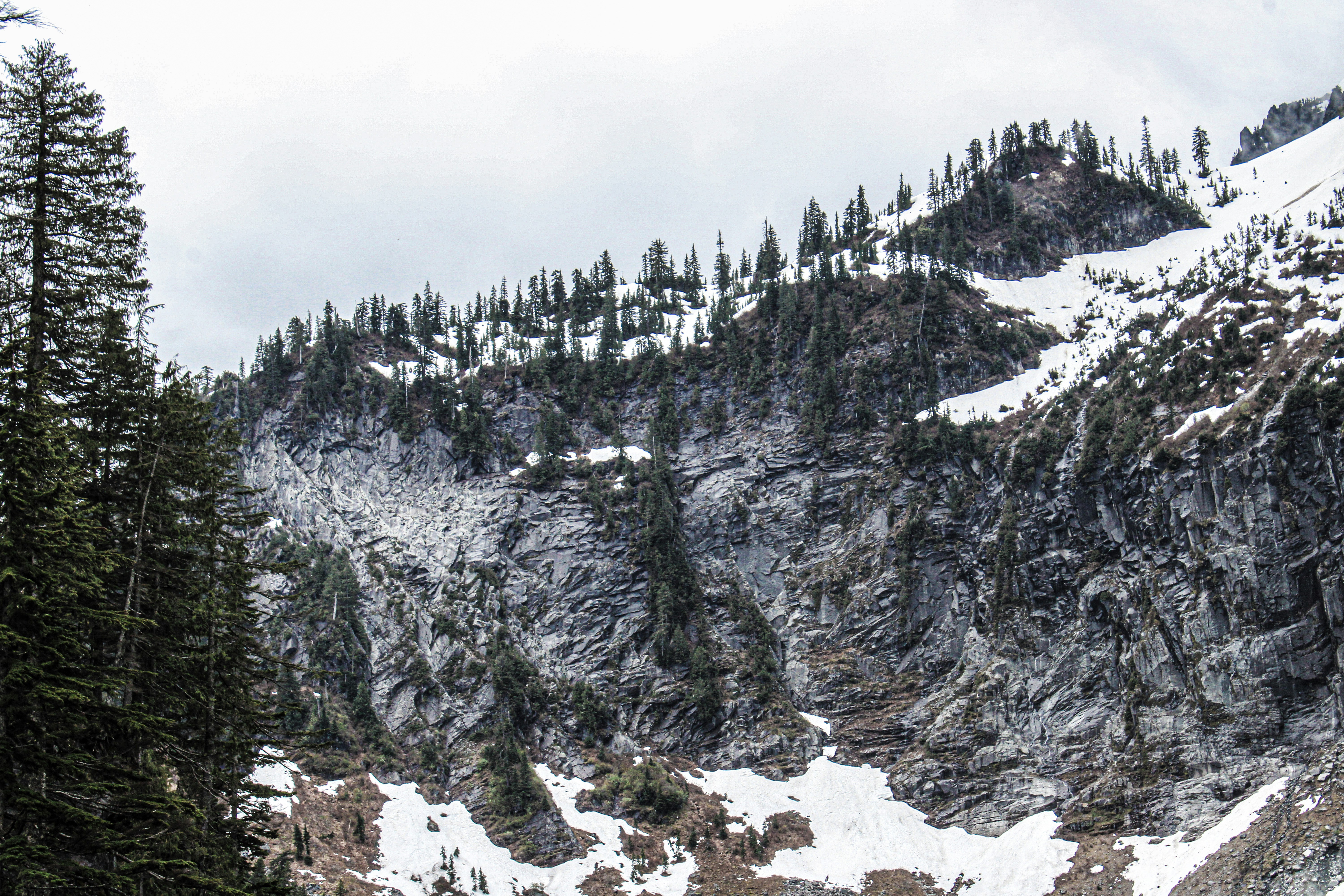 Photo by prphotography262