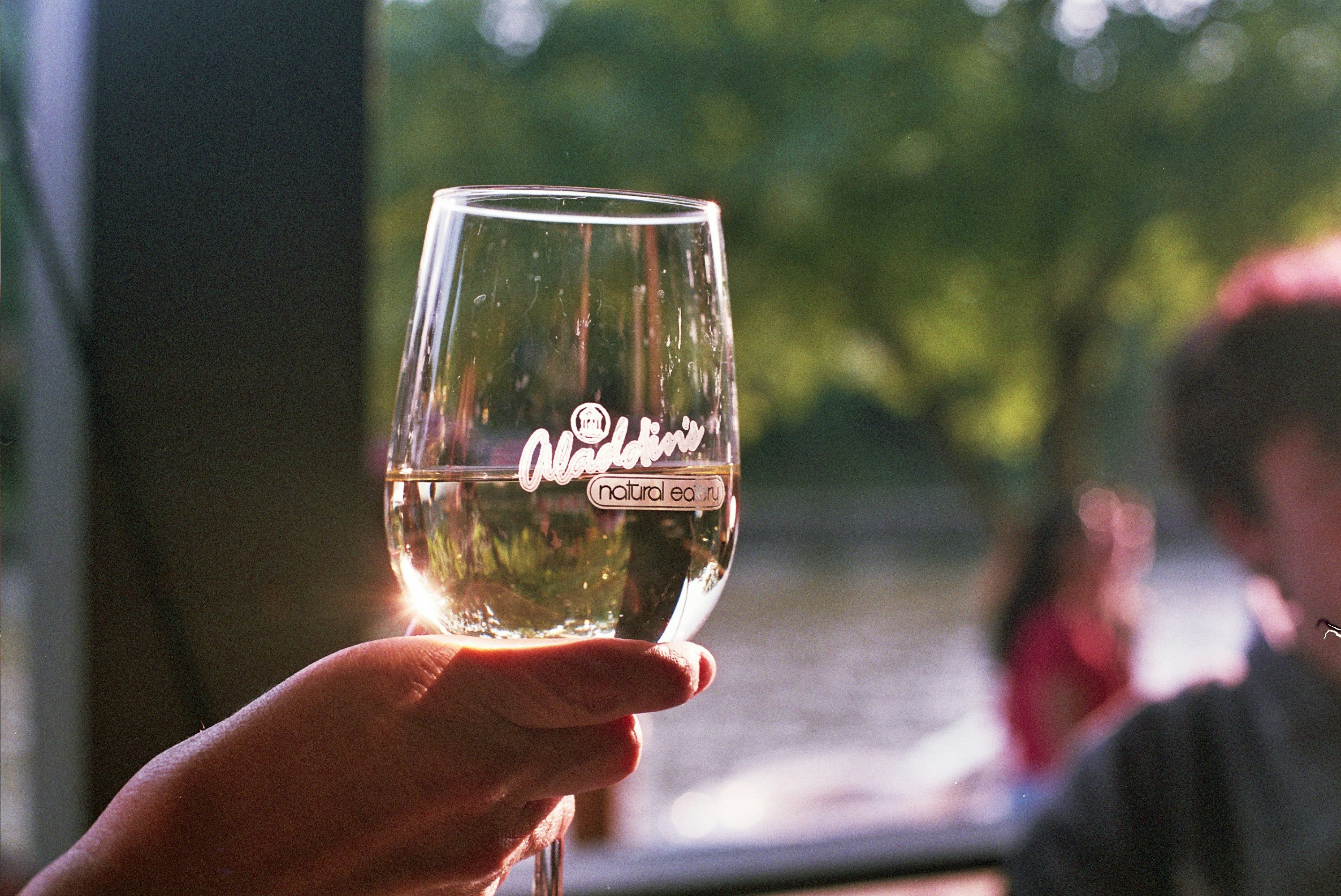 a person holding a wine glass in their hand