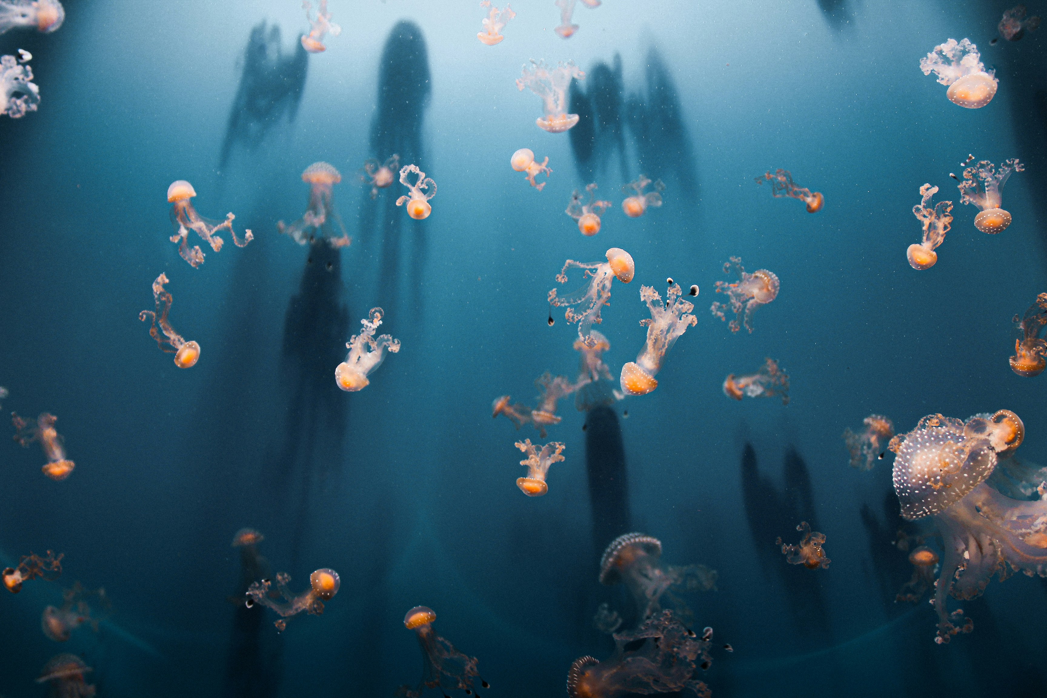 Photo by valentinapaschetto