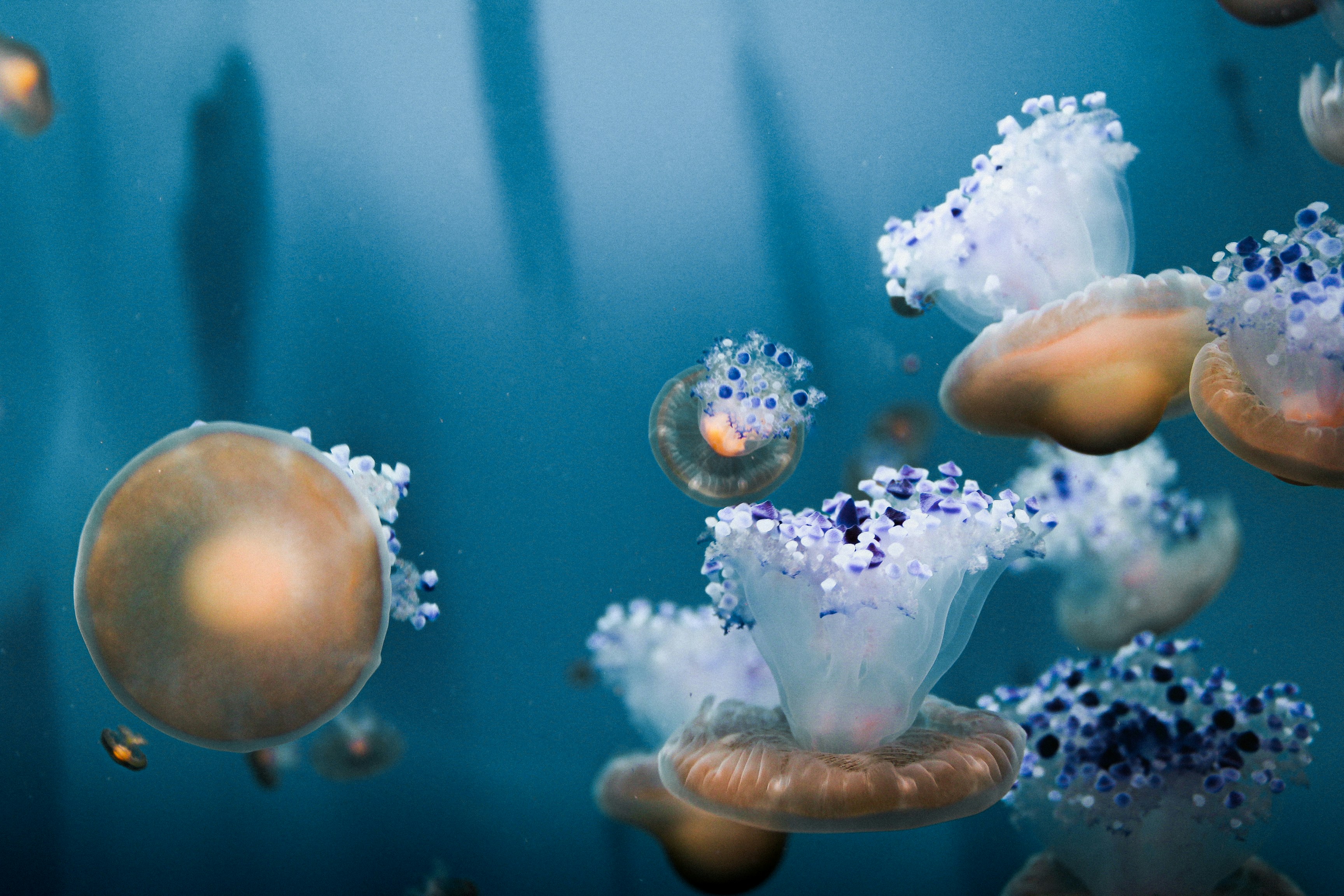 Photo by valentinapaschetto