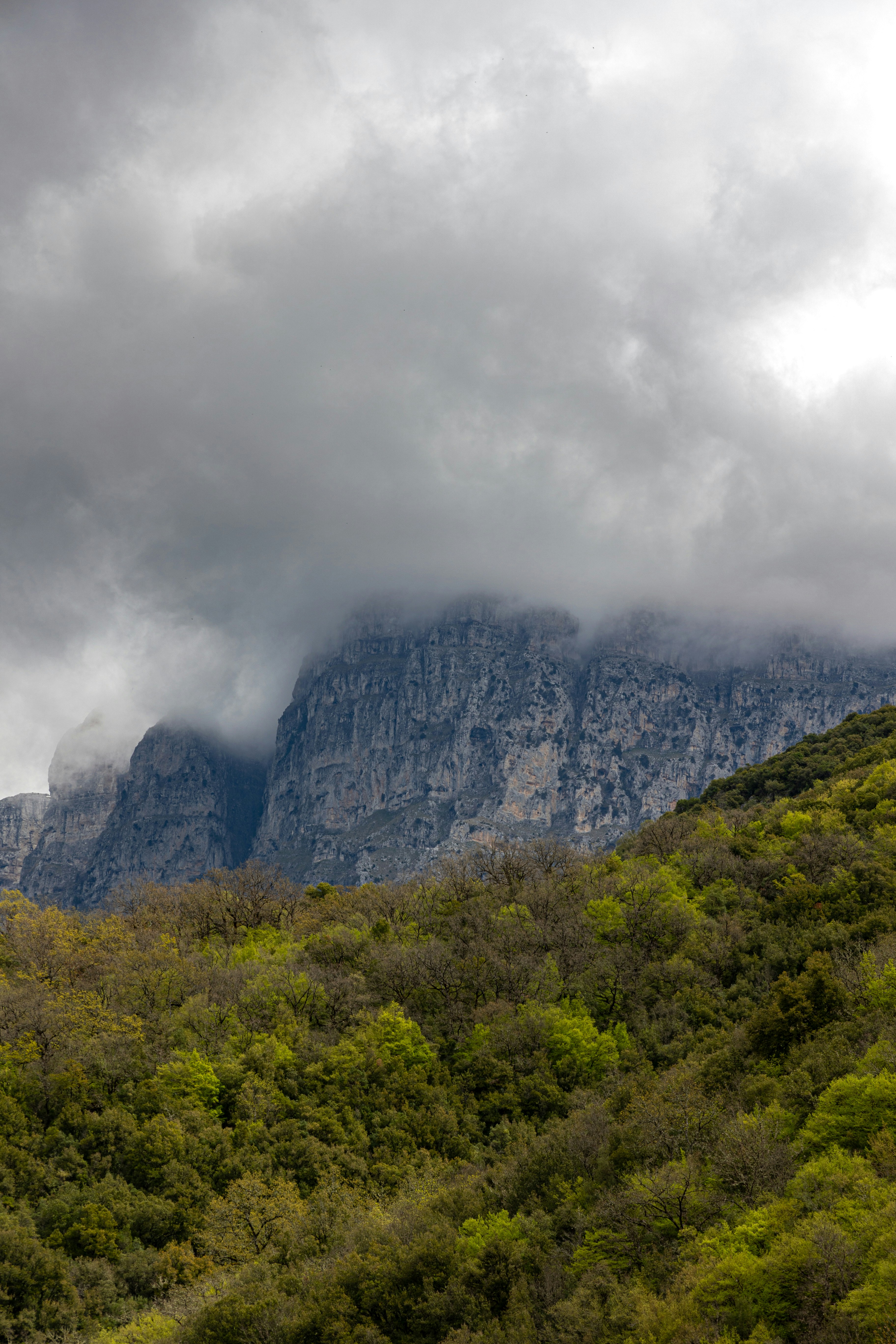 Photo by digitaldev