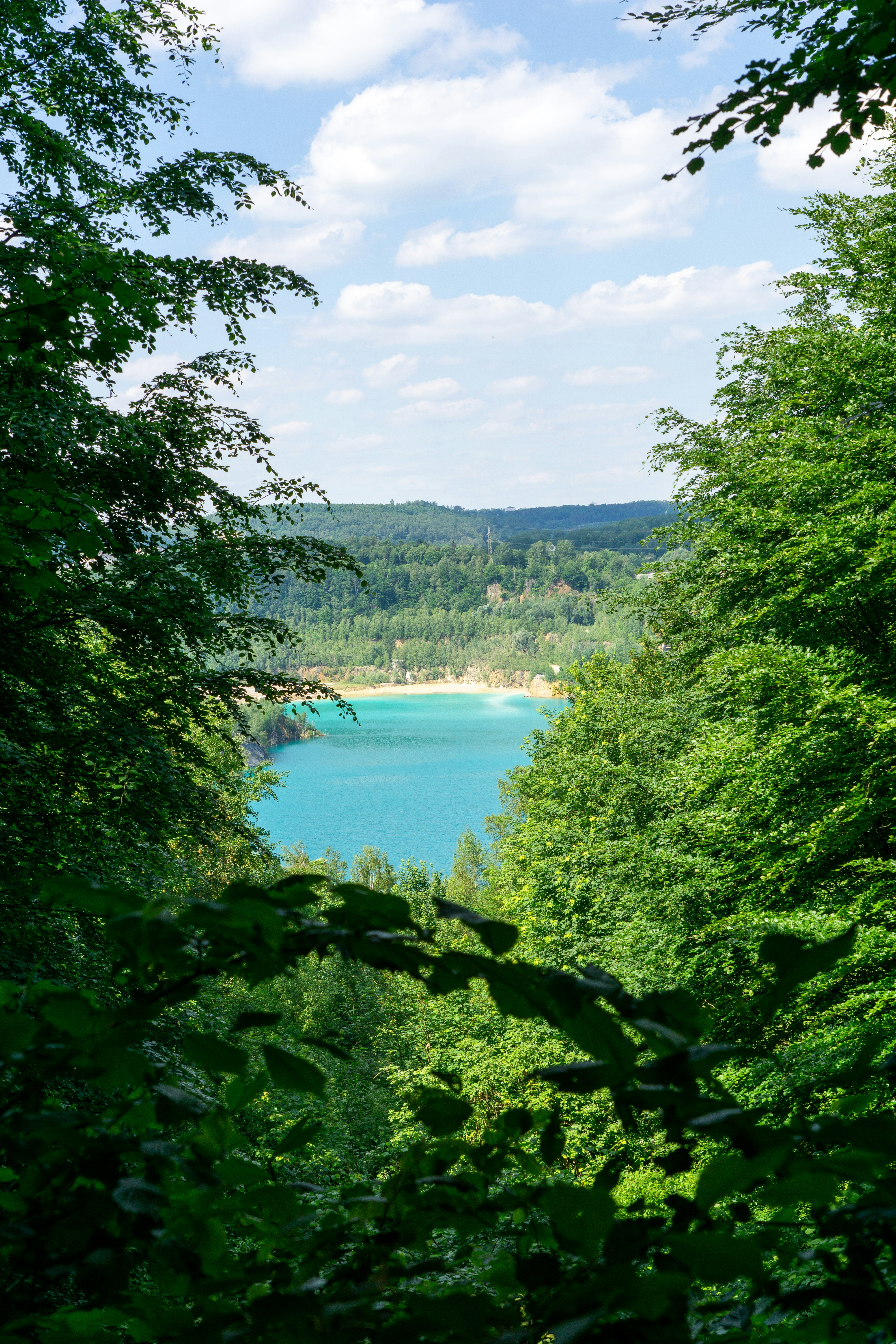 Photo by robertschwarz