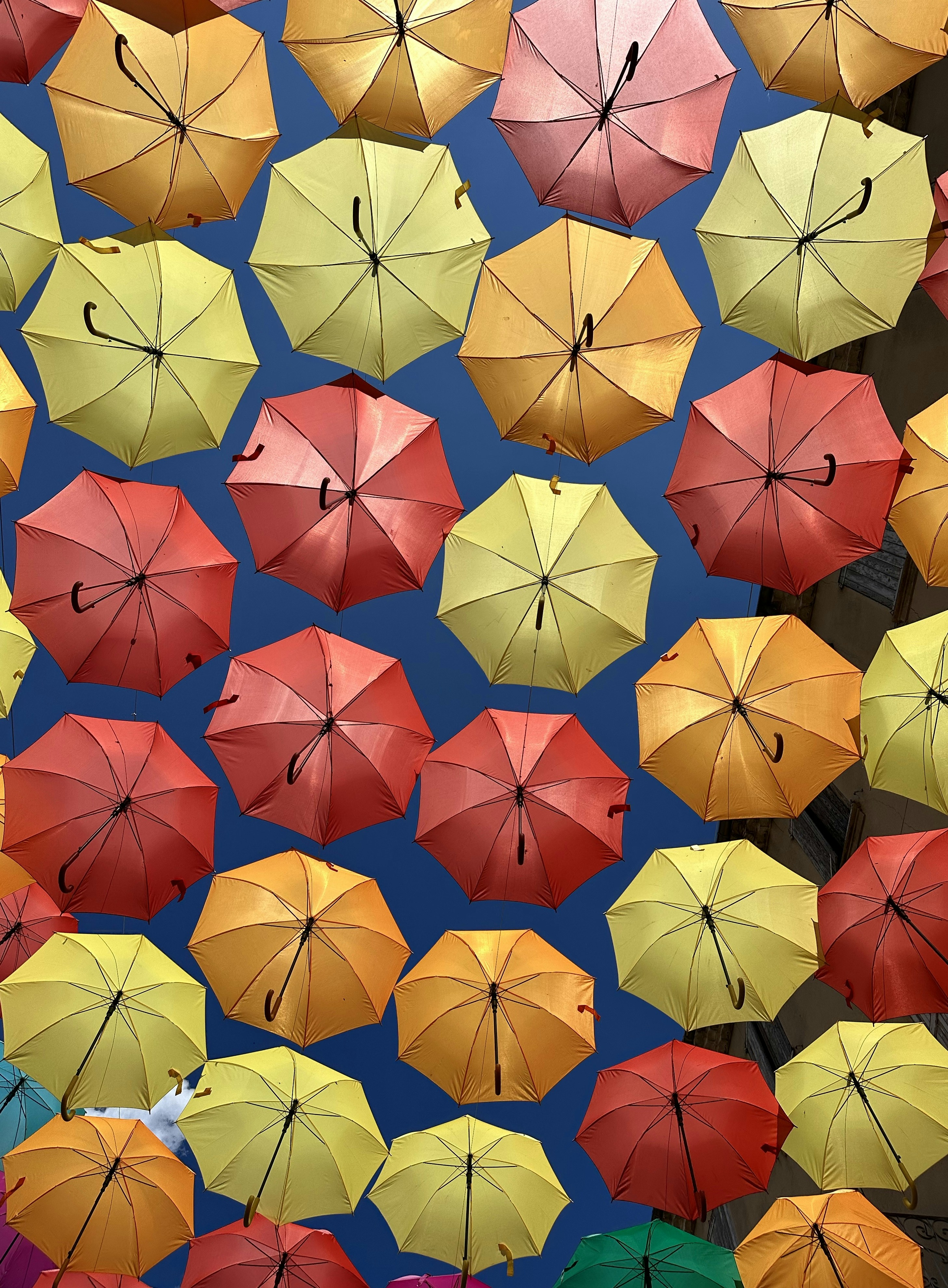 Photo by sinusfiction