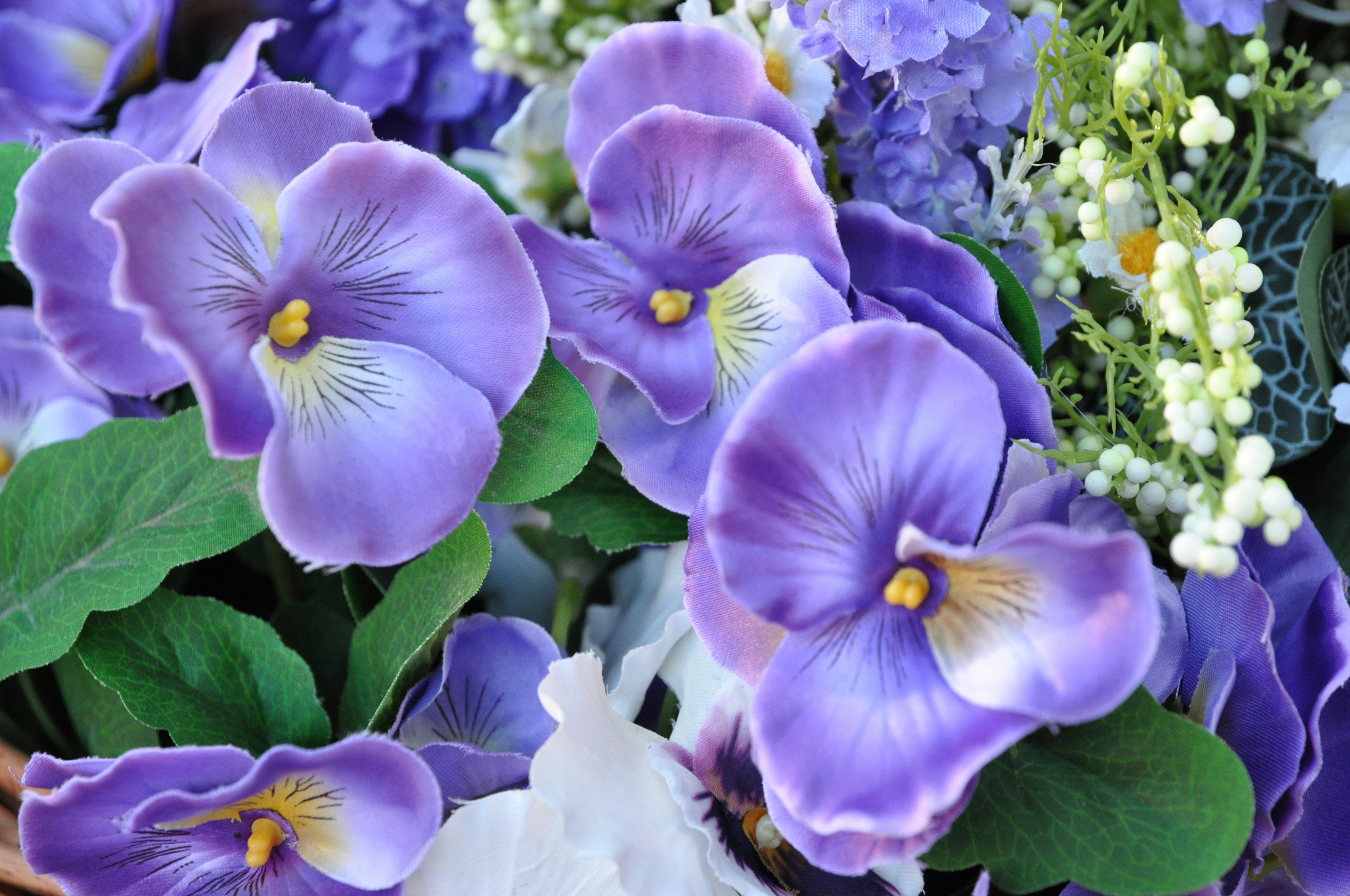 Photo by ornela_maloku