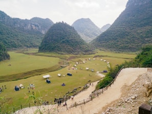 a group of people standing on top of a lush green hillside