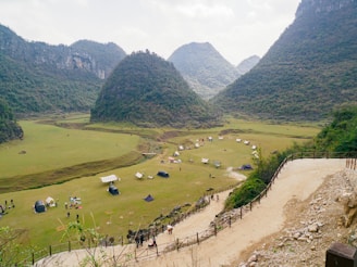 a group of people standing on top of a lush green hillside