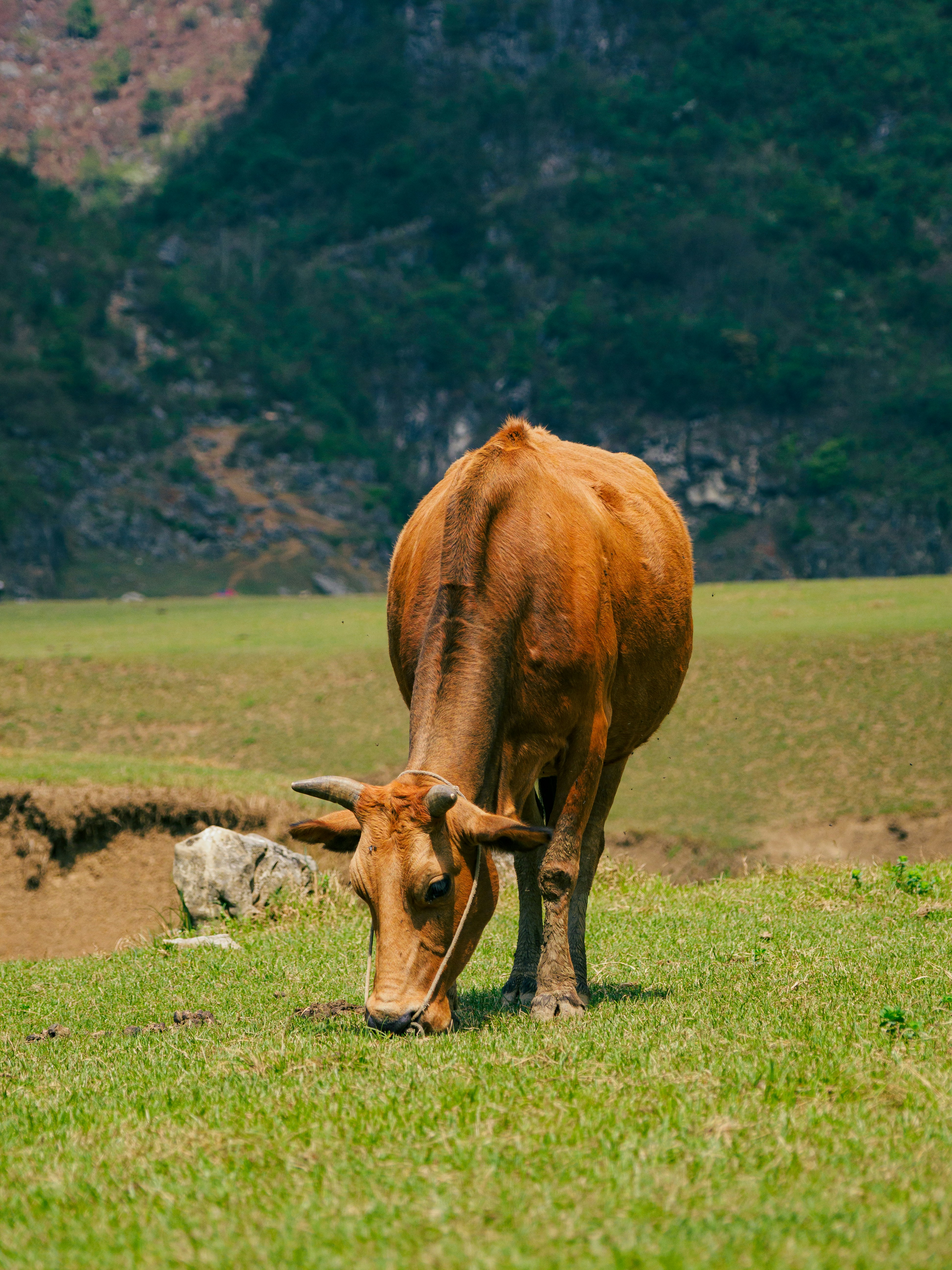 Photo by joshuafernandez