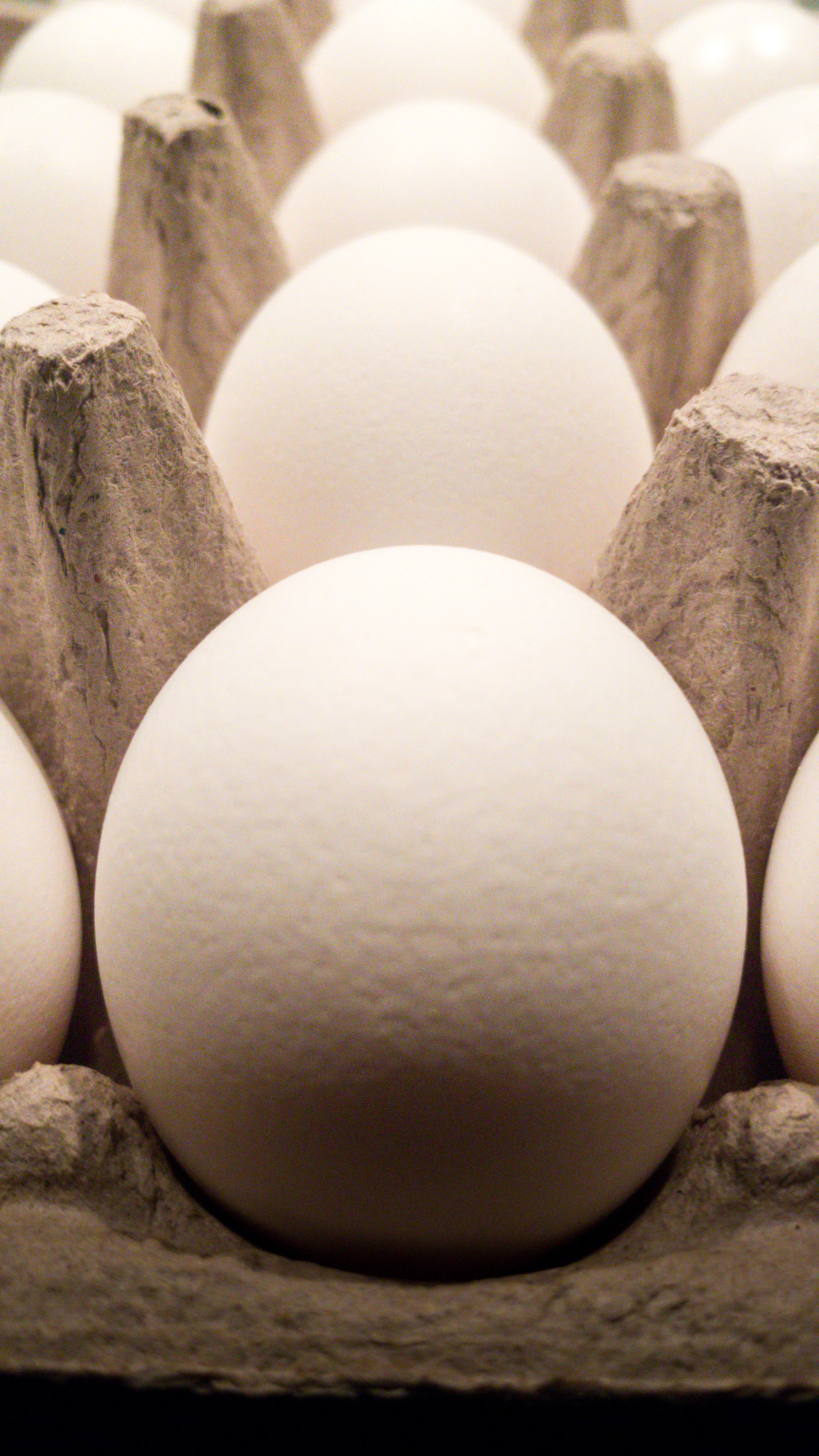 a carton filled with eggs sitting on top of a counter