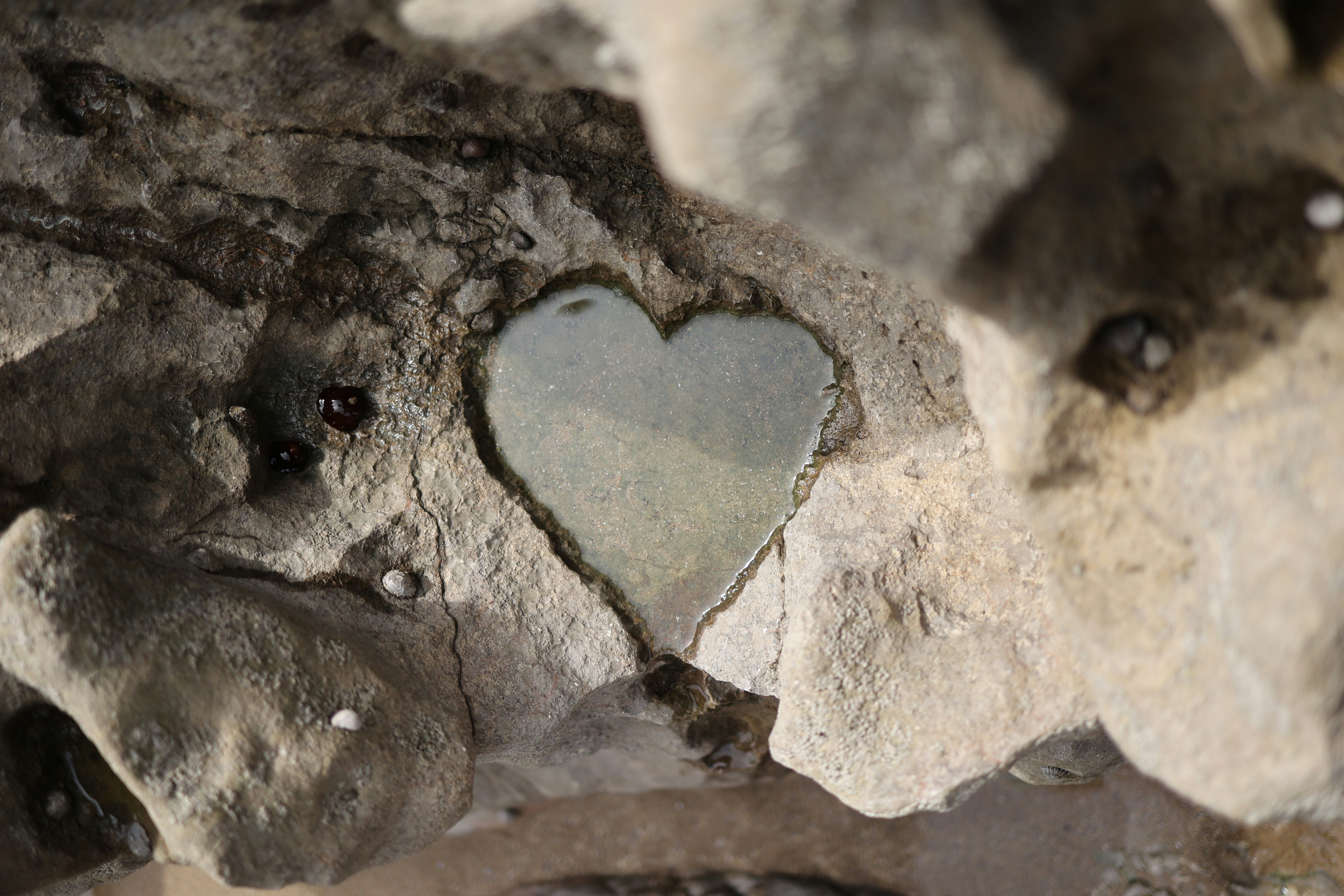 a heart shaped hole in a rock wall