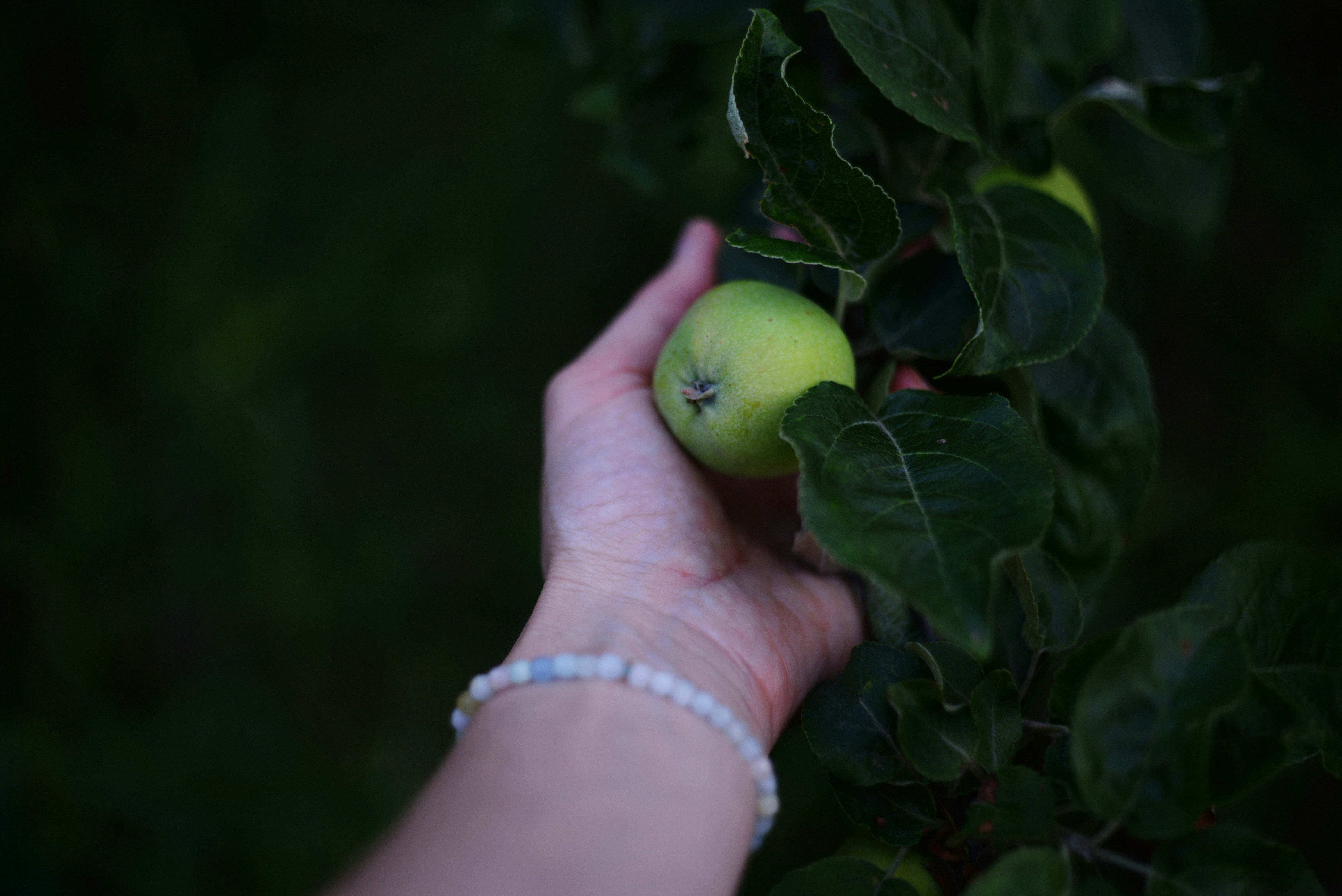 L'Apple Watch Ultra en promotion à 100$ de réduction