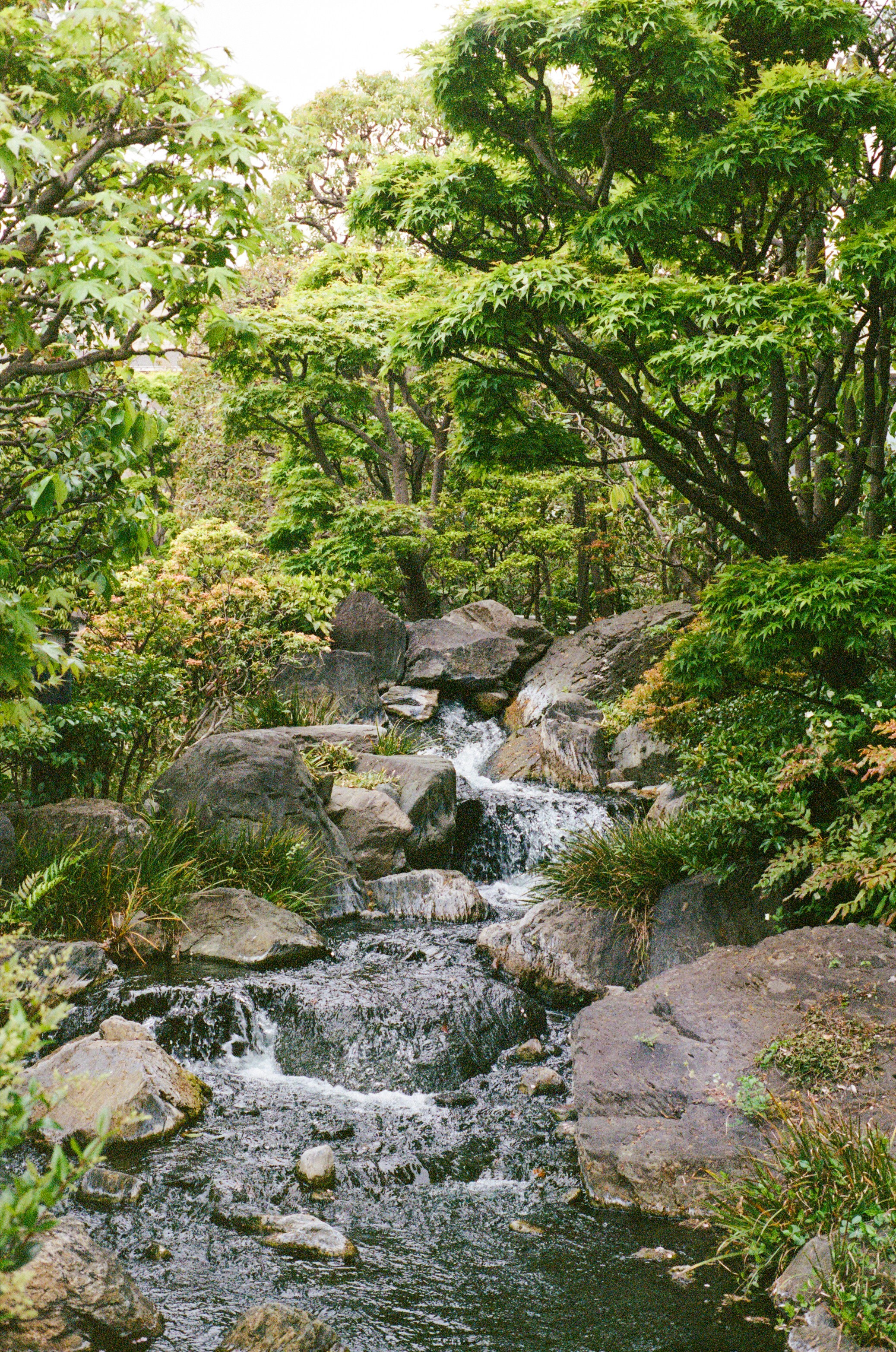 Photo by jeancarloemer