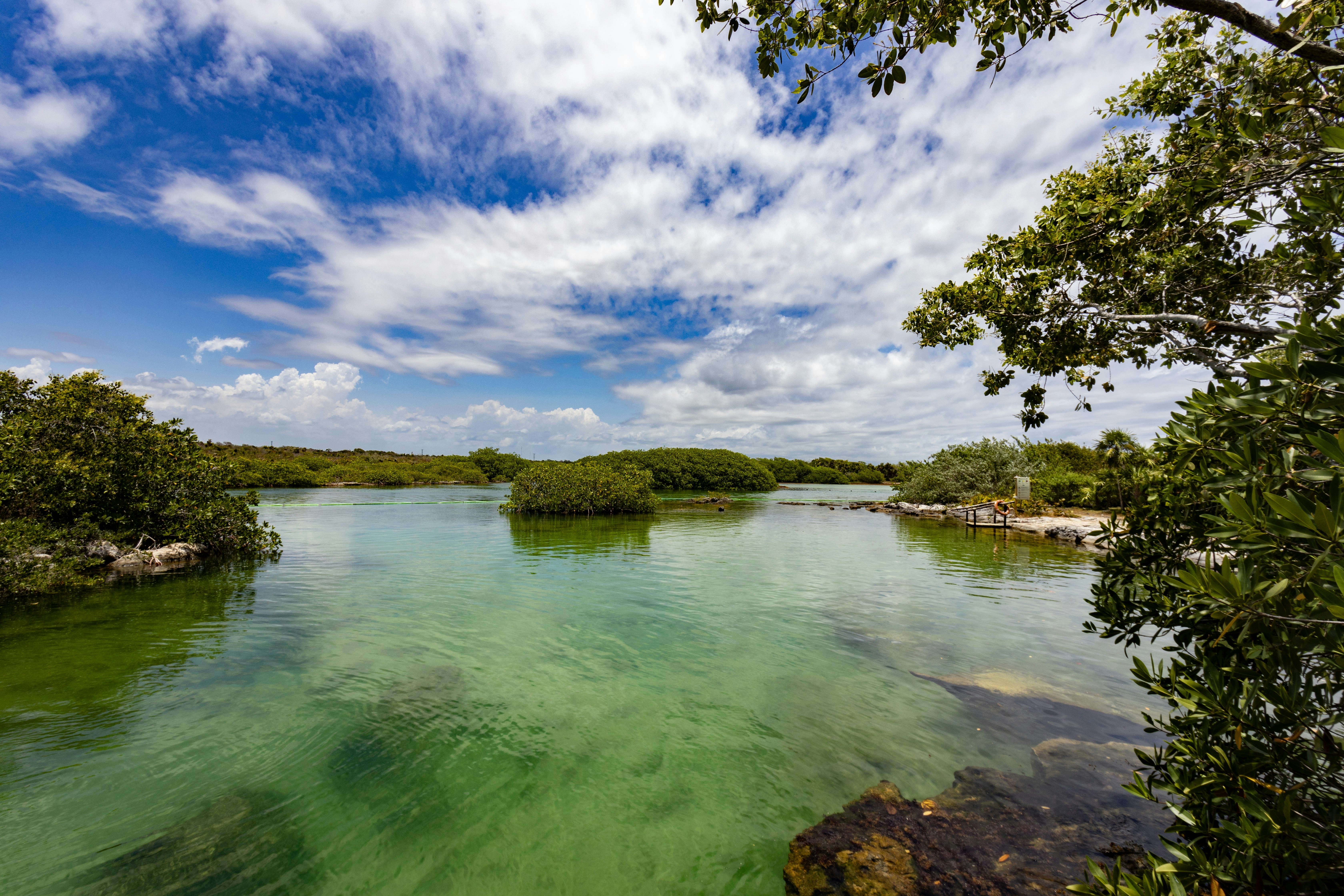 a body of water surrounded by trees and rocks