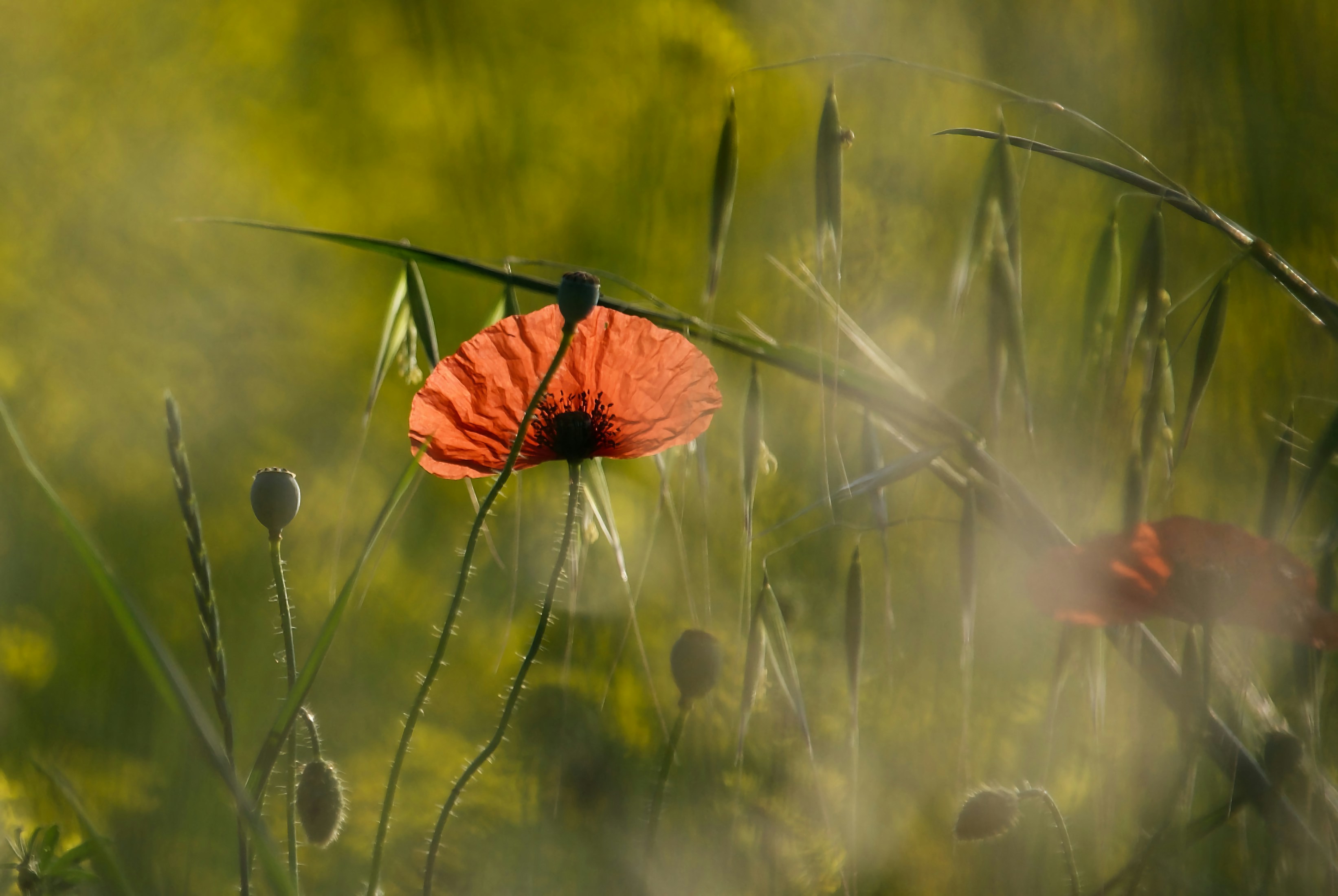 Photo by mariobeducci