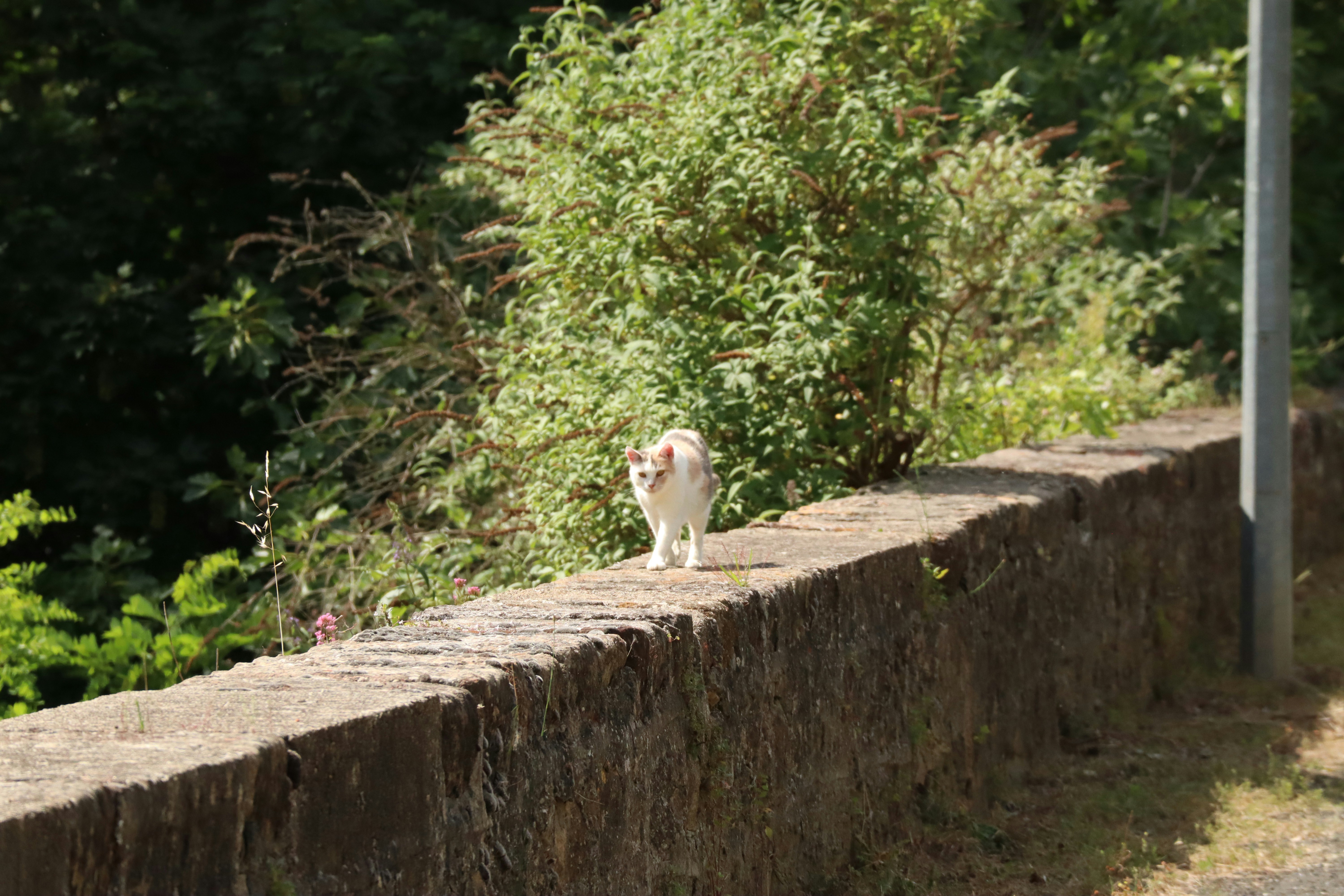 Photo by jeanne1907