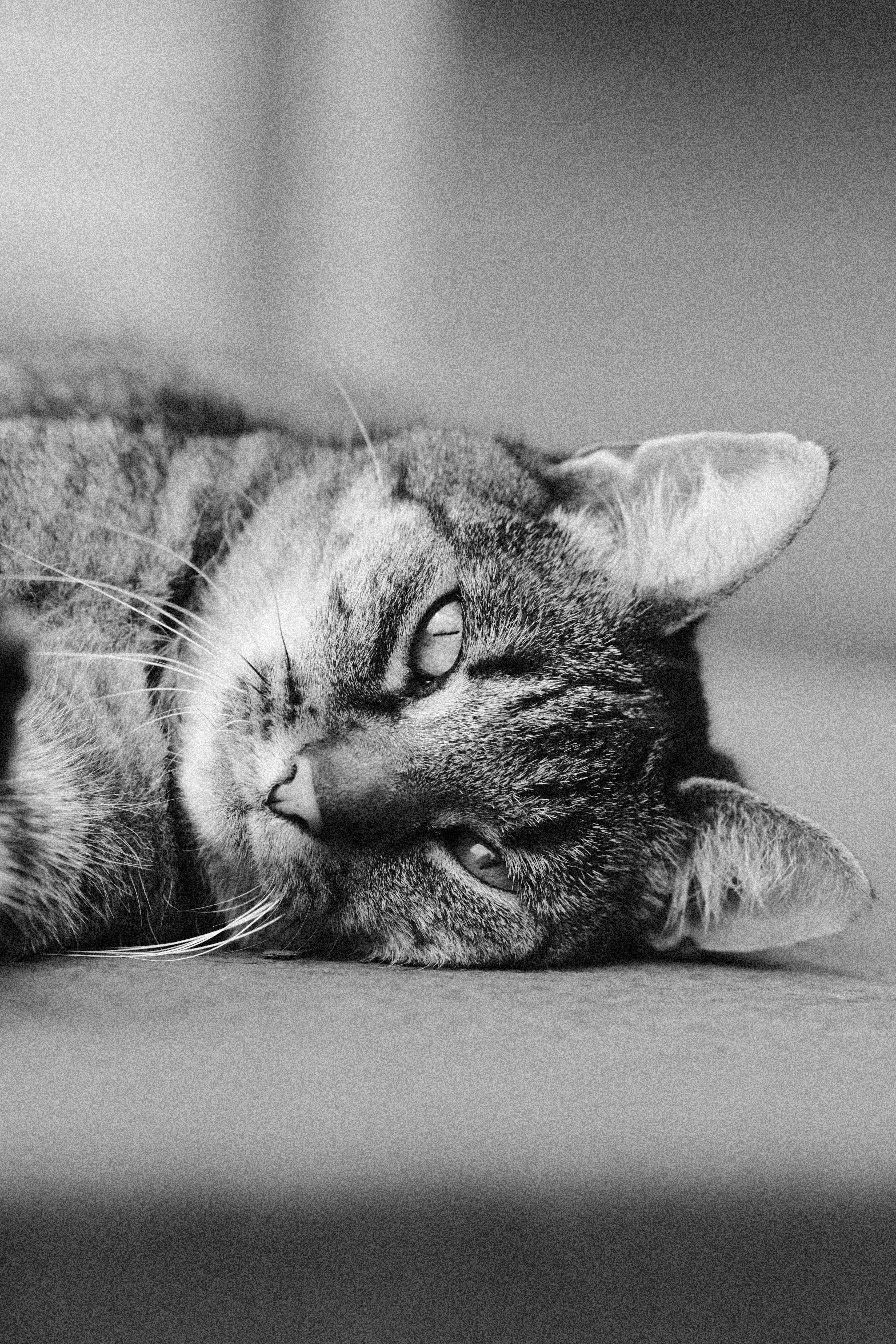 Photo by strangerrobijn123