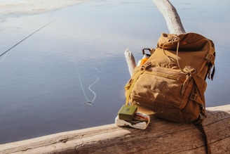 a backpack sitting on a log next to a body of water