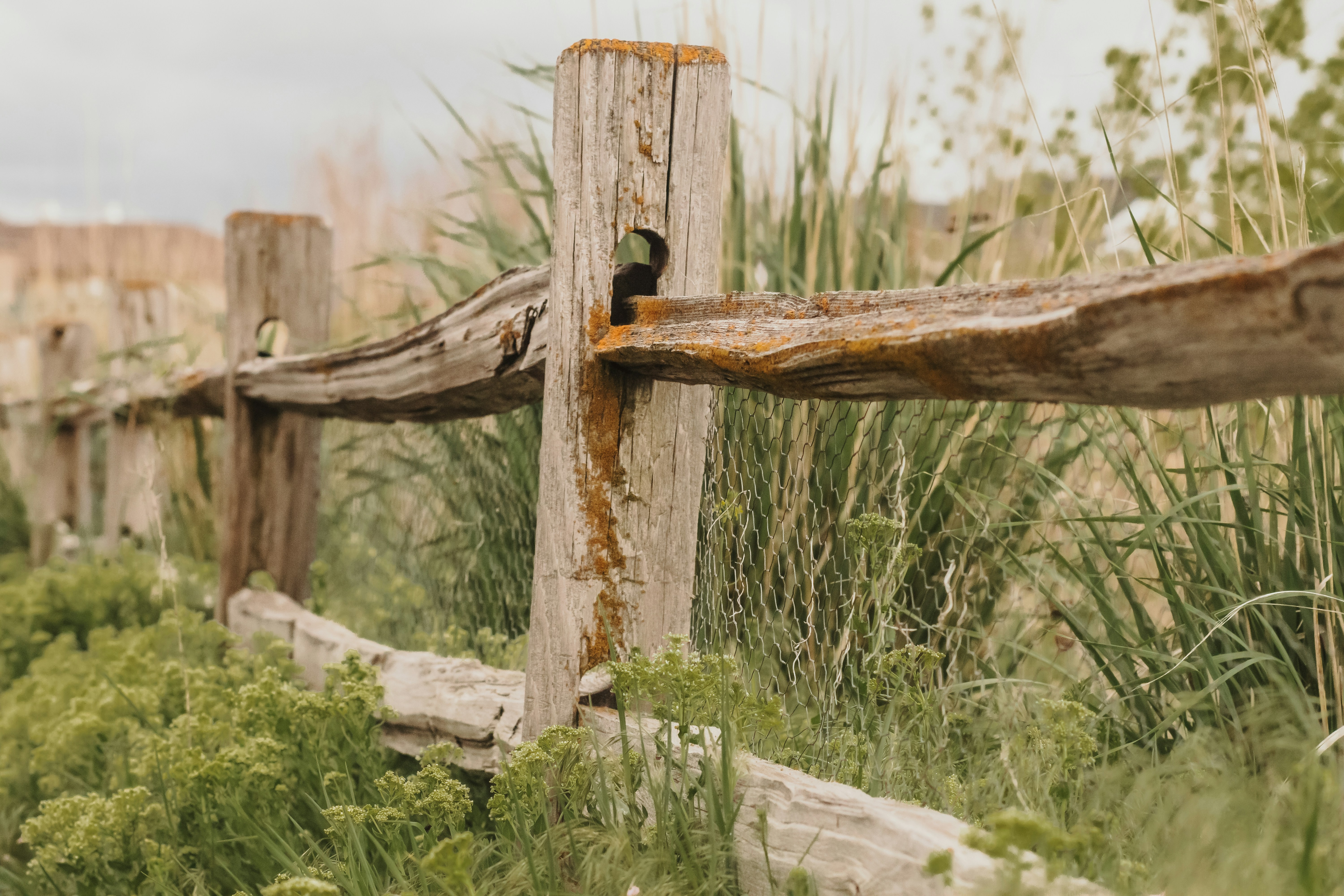 Photo by dreydenwilde